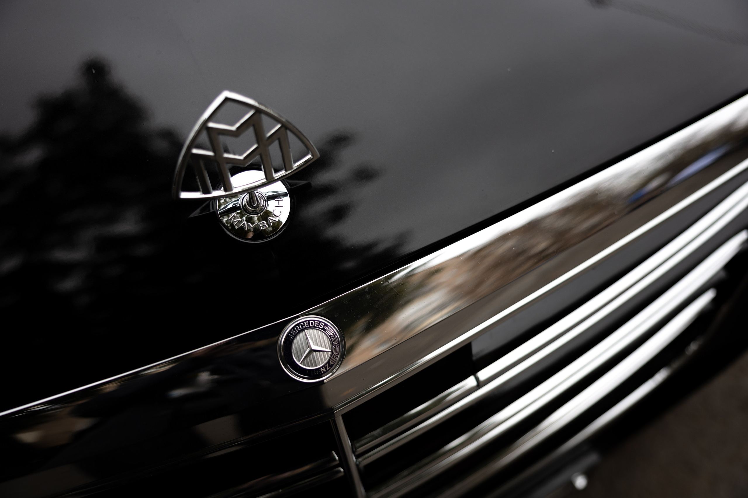 Свадебный фотограф | Москва