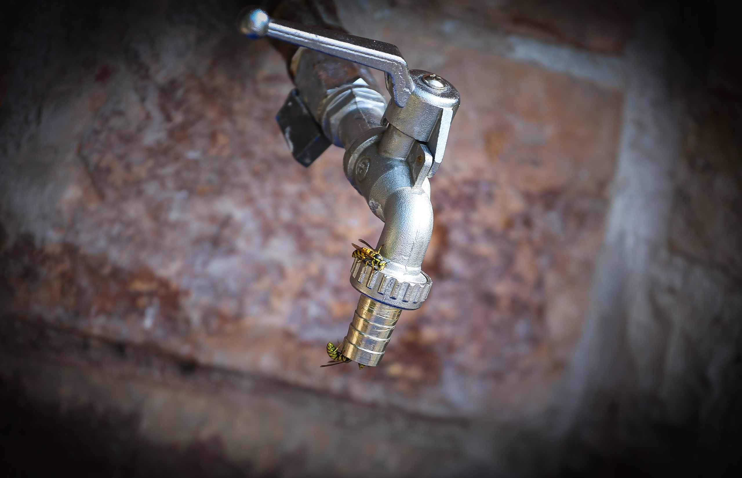 Греция: термальный курорт Лутраки. Дарья Письменюк / Darya Leitstern — фотограф, музыкант, журналист, путешественник