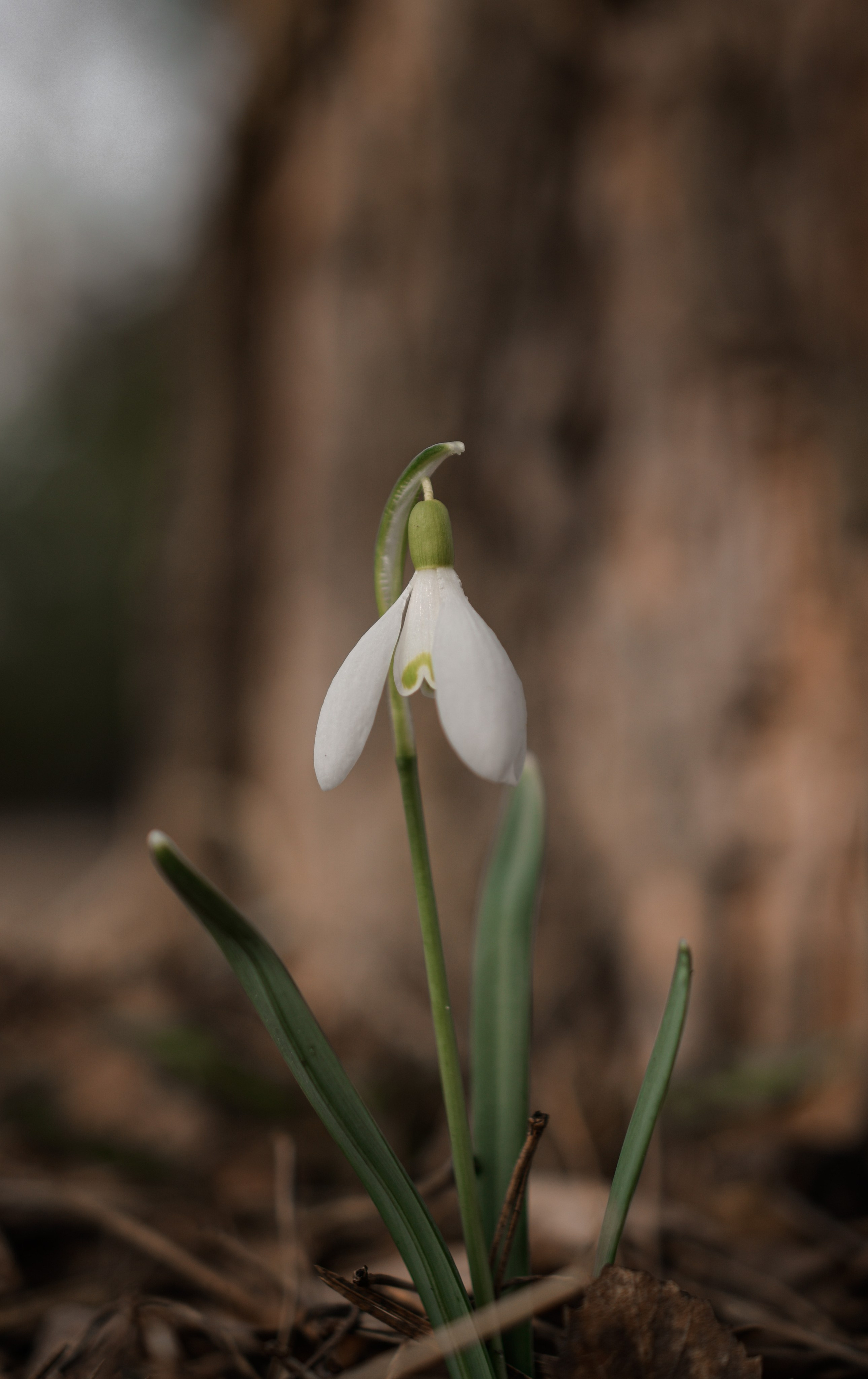 В созвучии с природой. Фотограф Светлана В. Пронина, Москва