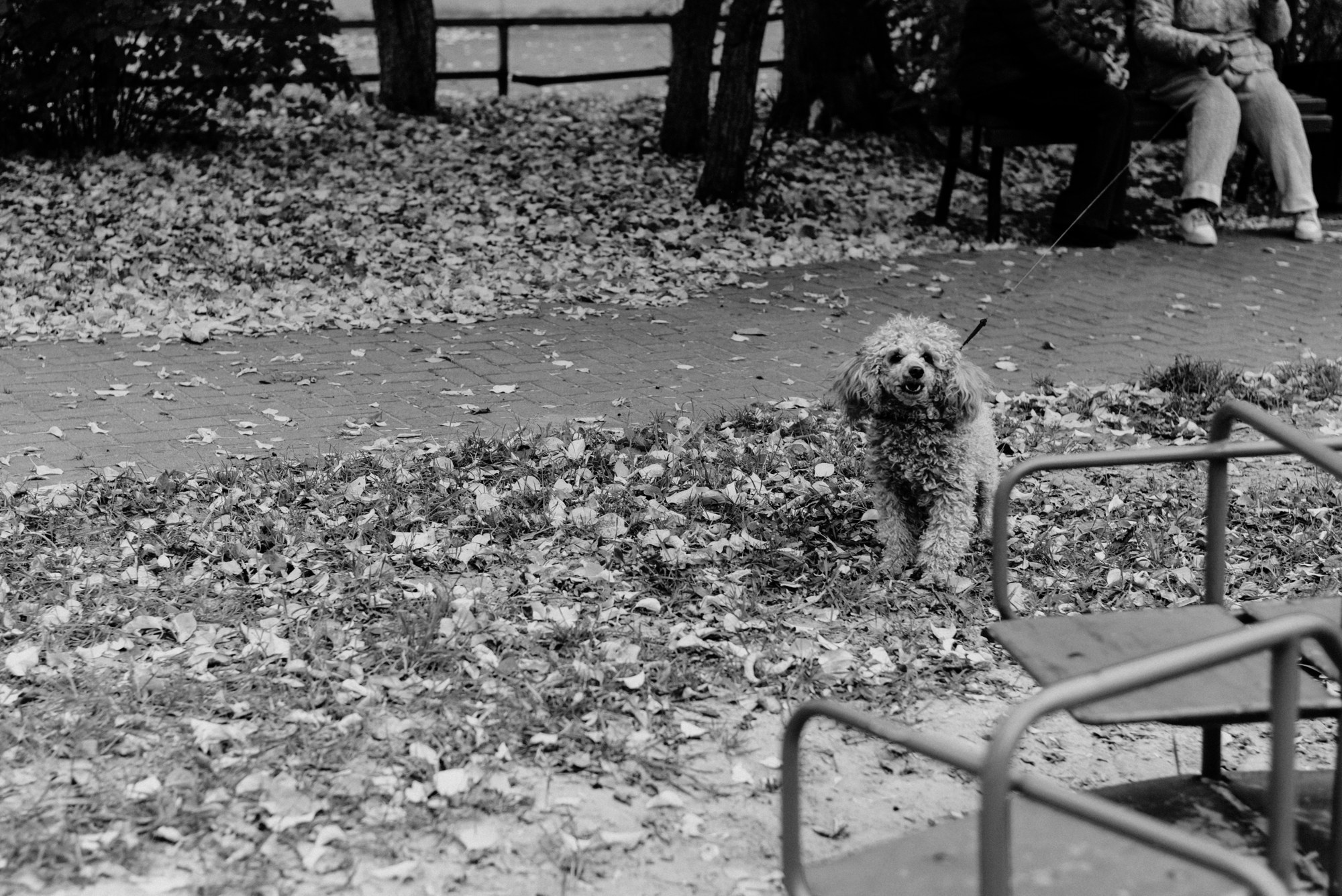 Мужская стрит-фотосессия в Тюмени | Уличный фотограф Дарья Мустафина. Портретный фотограф Тюмень Дарья Мустафина