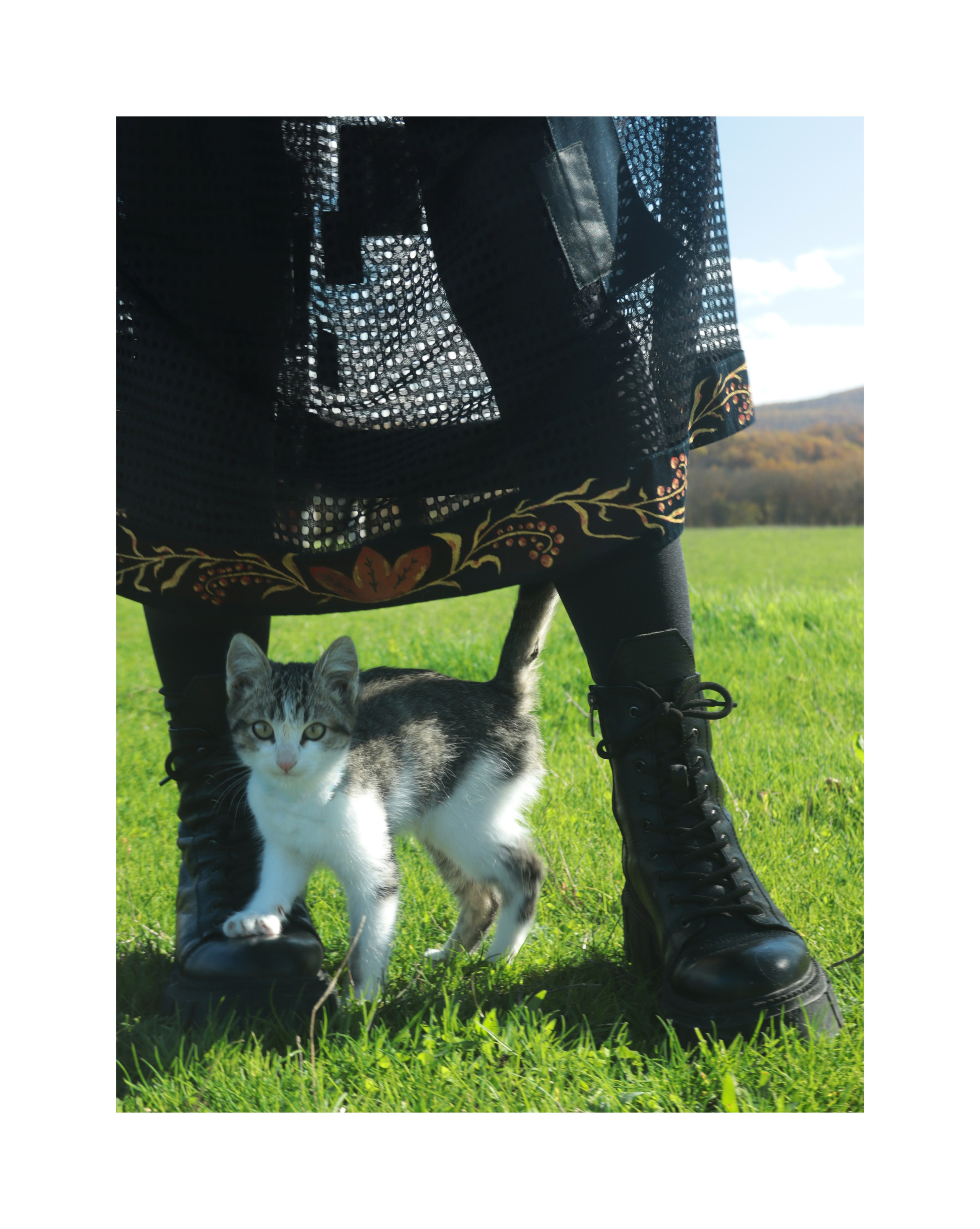 Foto-creator Alisa Zobova