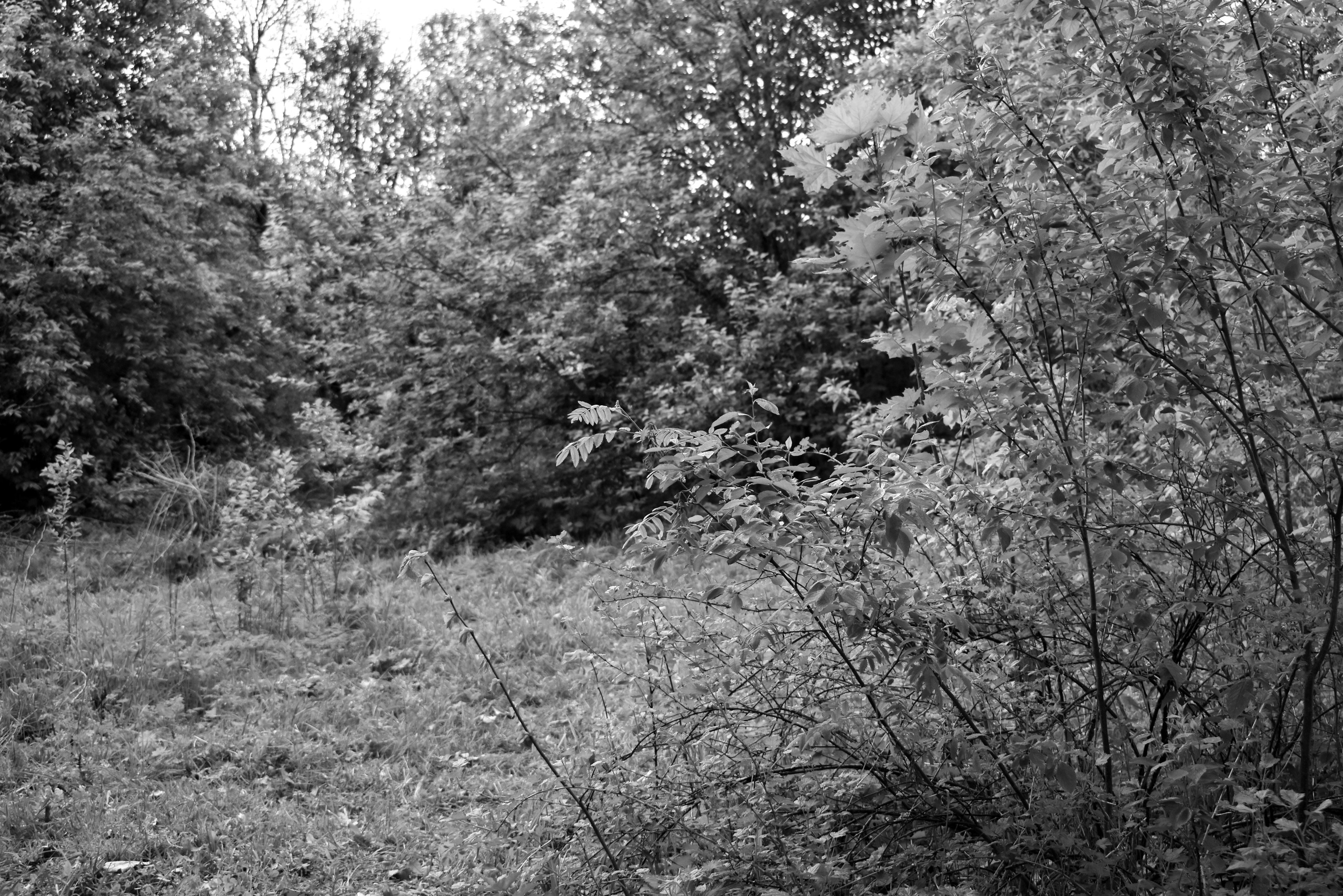 Волны. Главная