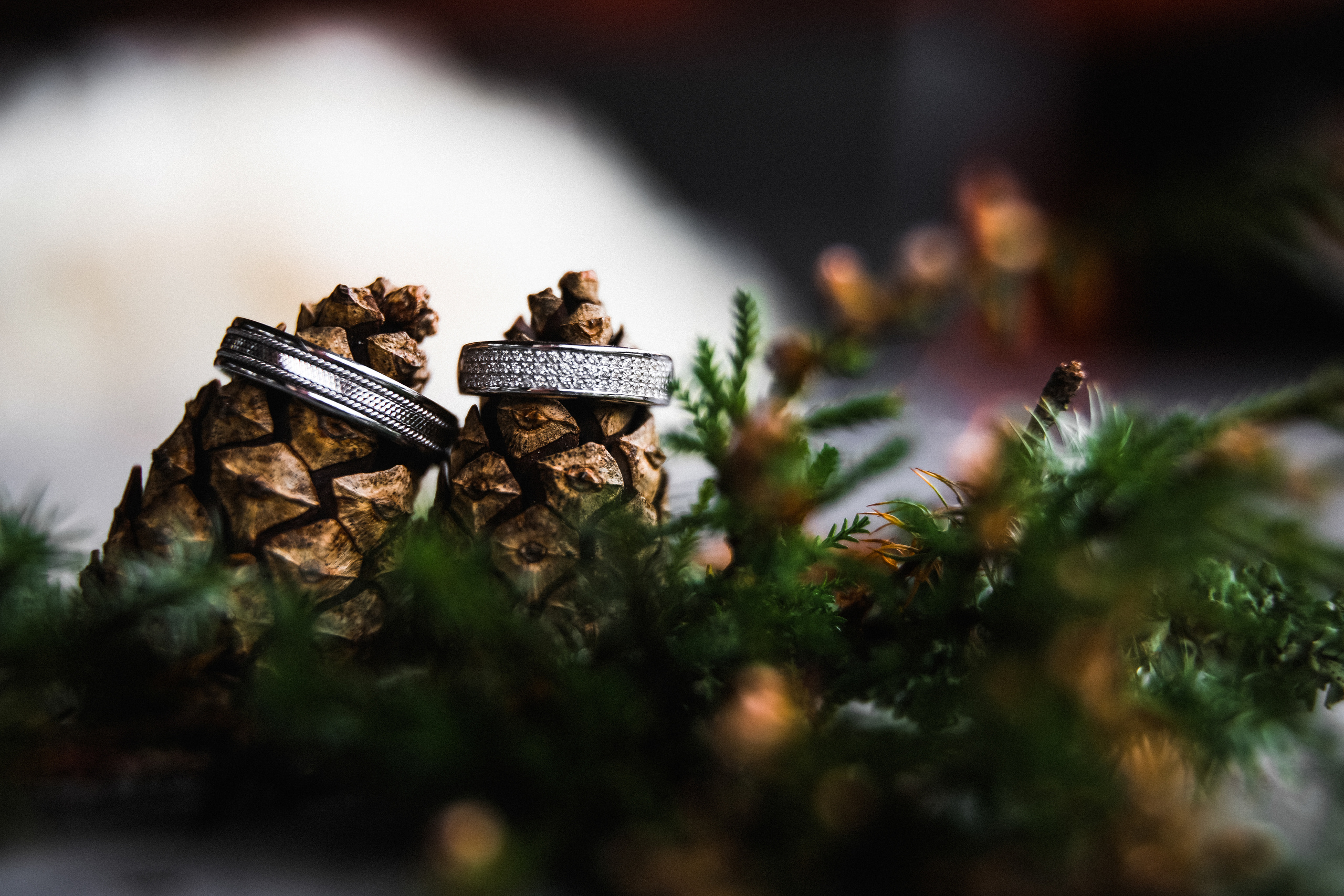 Даша и Тёма-2017. Свадебный и семейный Фотограф Денис Кошель