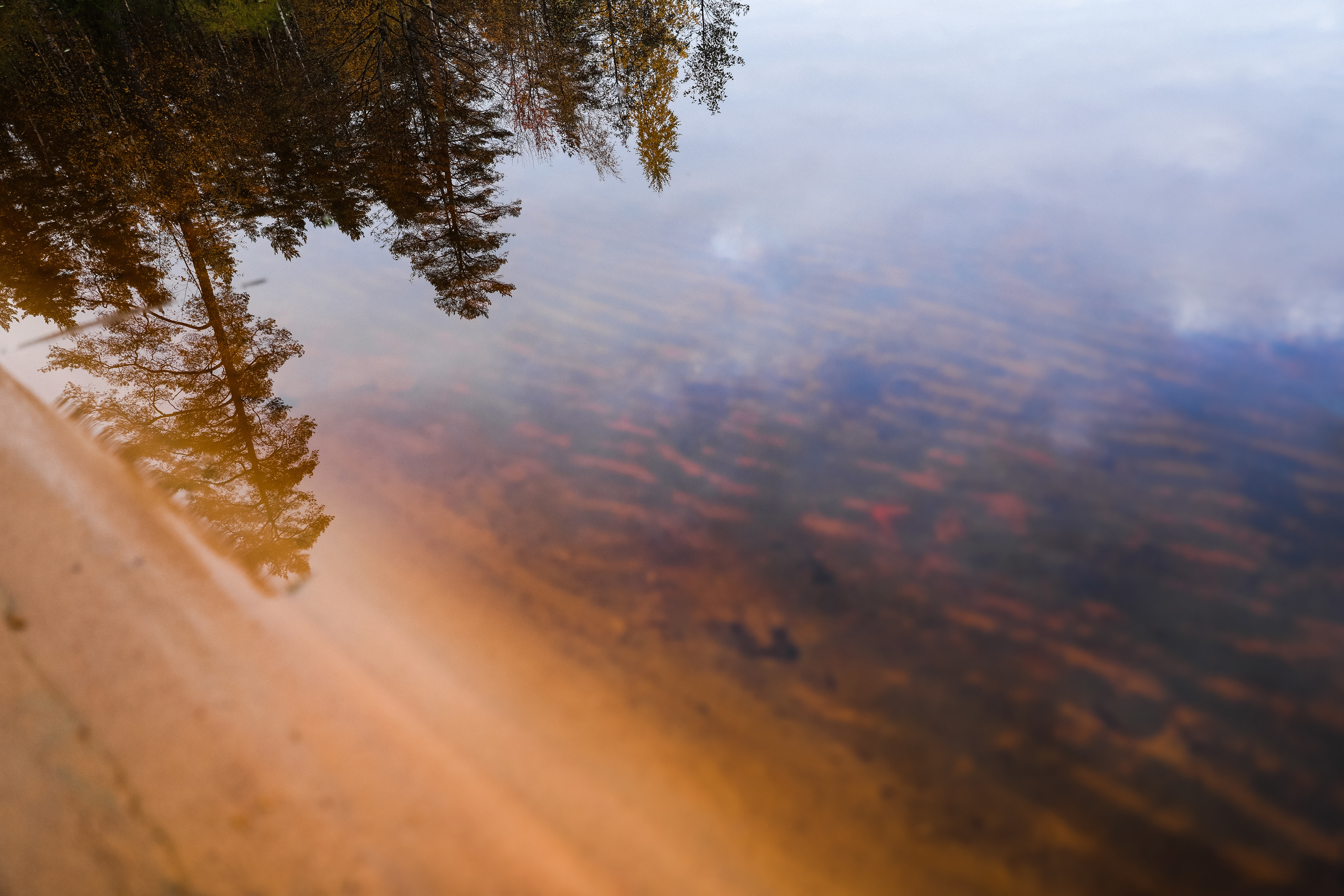 Даша и Тёма-2017. Свадебный и семейный Фотограф Денис Кошель