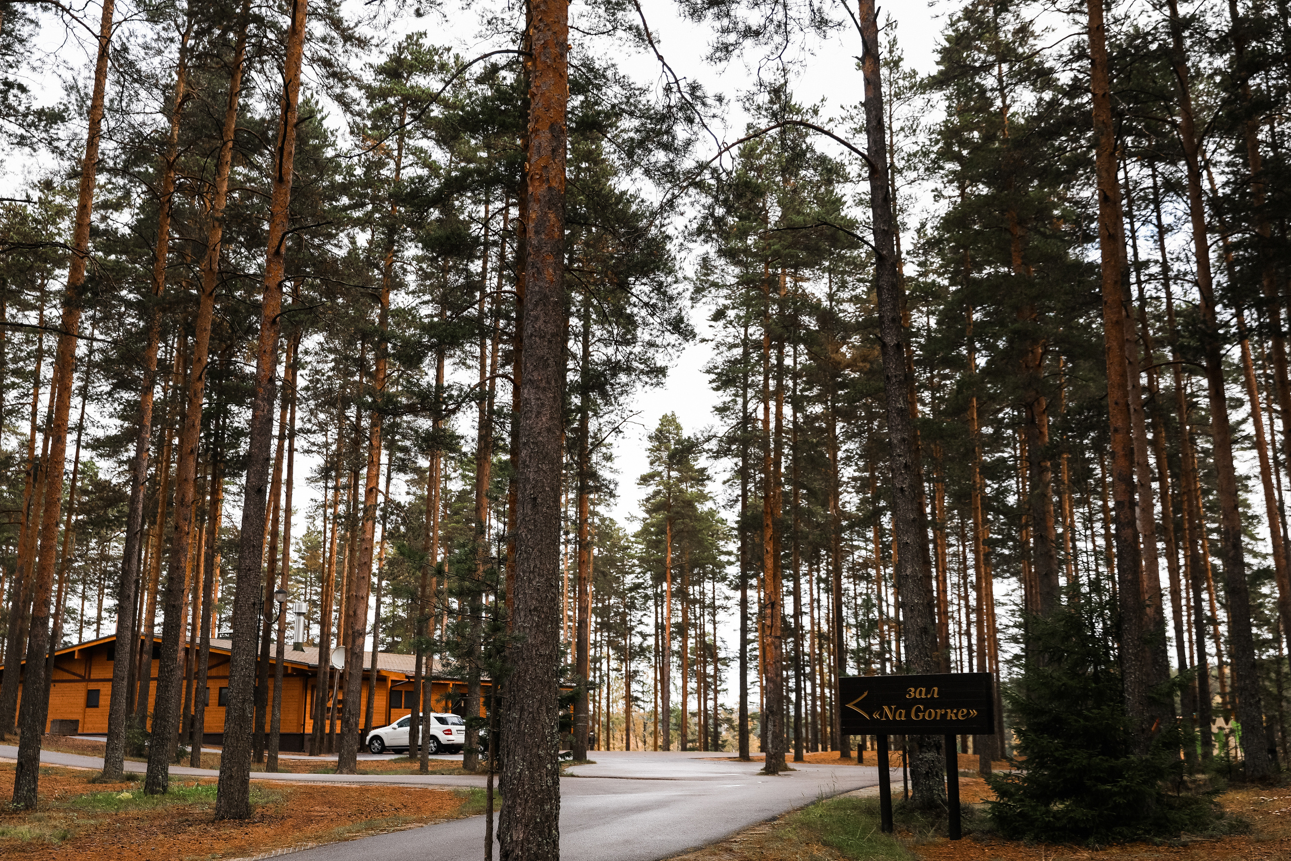 Даша и Тёма-2017. Свадебный и семейный Фотограф Денис Кошель