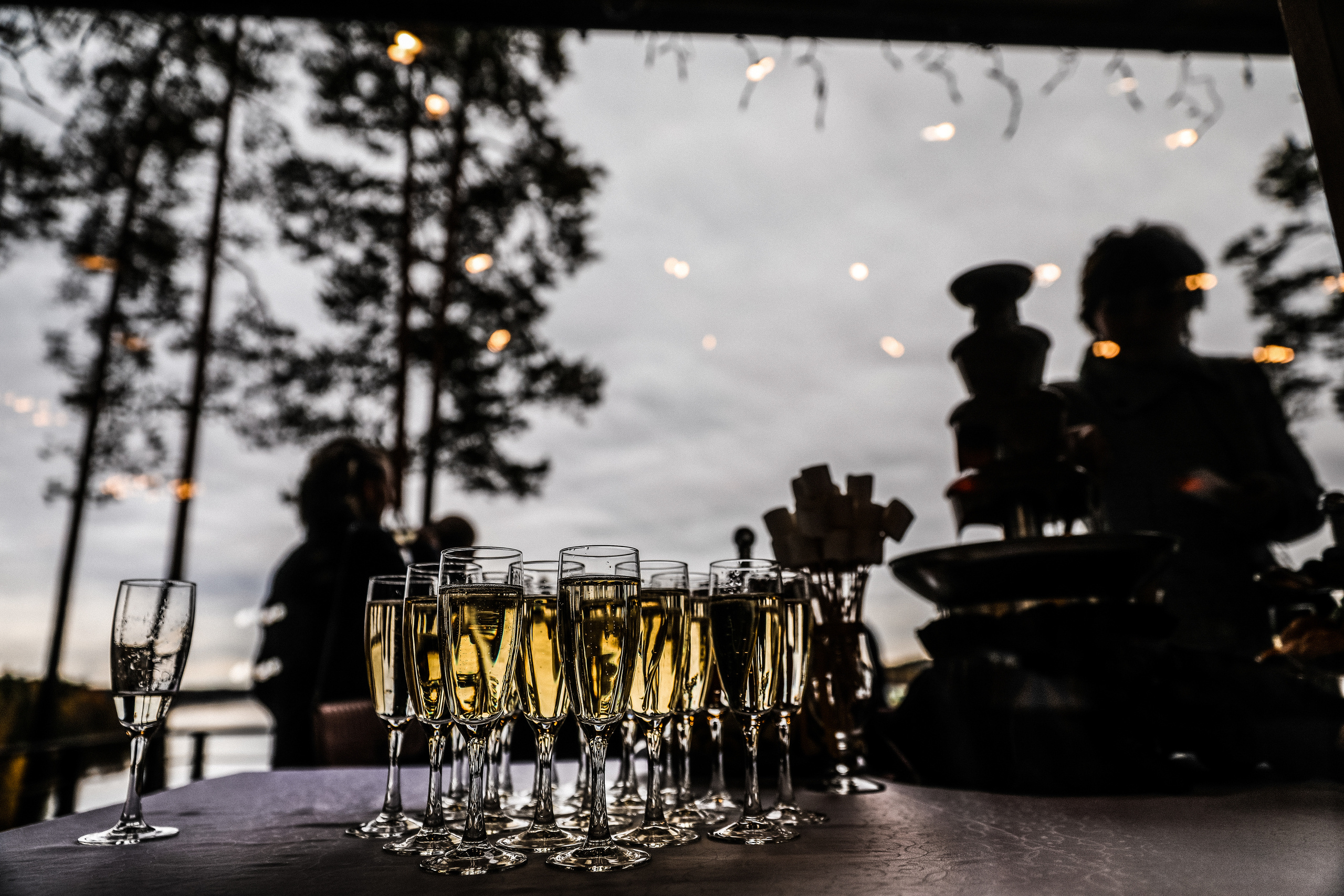 Даша и Тёма-2017. Свадебный и семейный Фотограф Денис Кошель