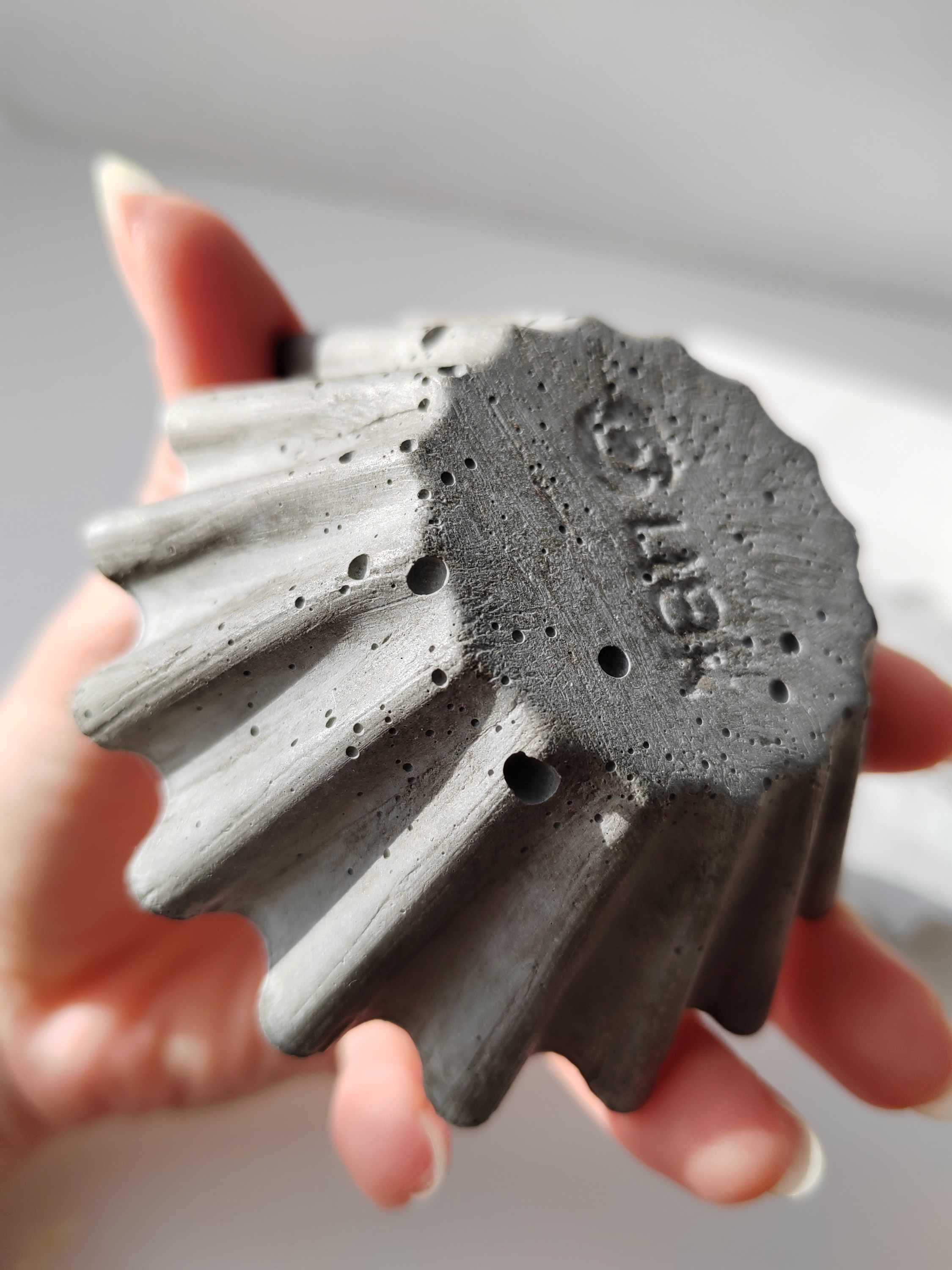 2024 Help Yourself. Alya Segova