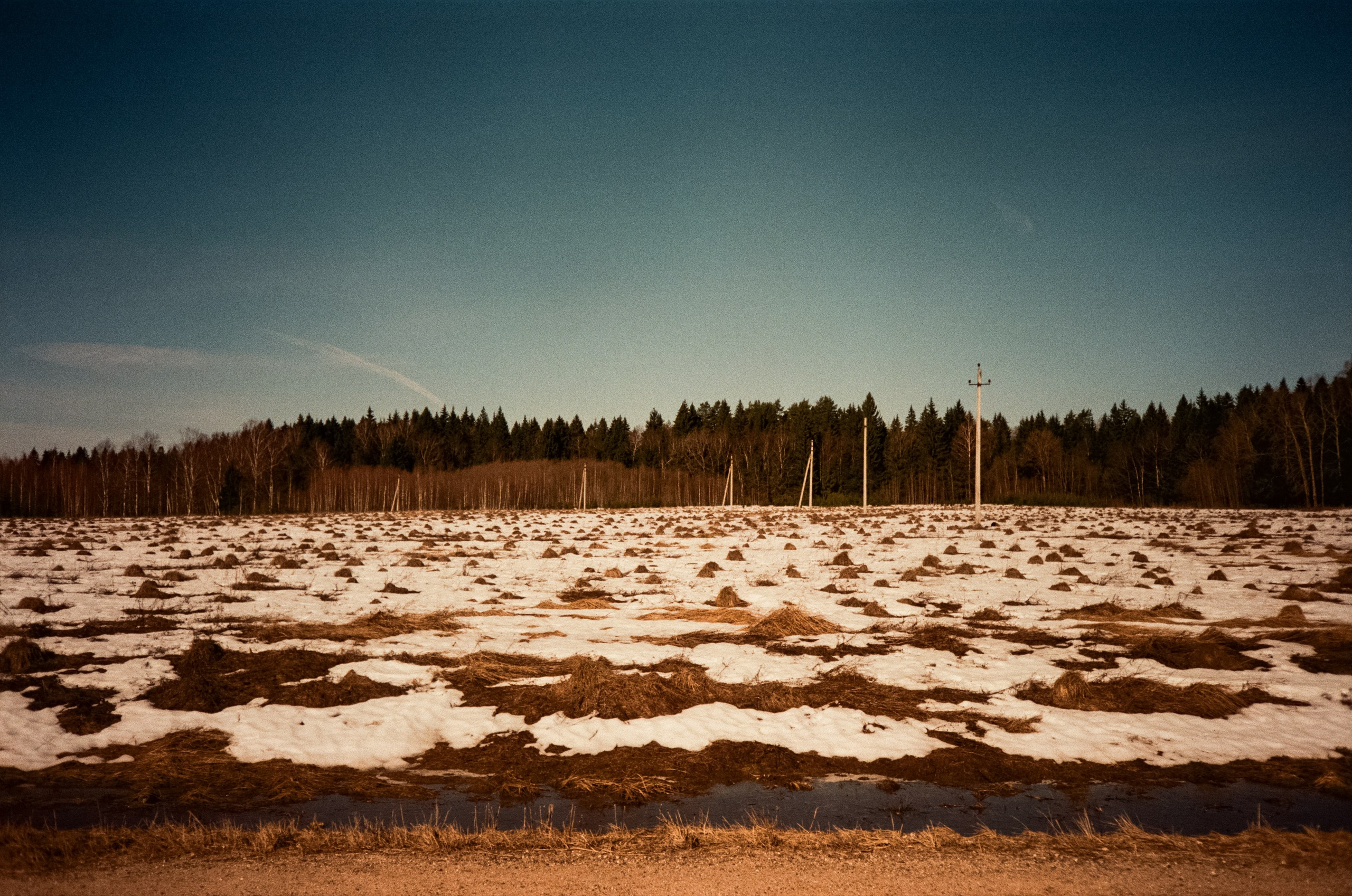 Ricoh FF-300D / Fujifilm X-tra 400 (просрочка) / Лукино март 2024 г