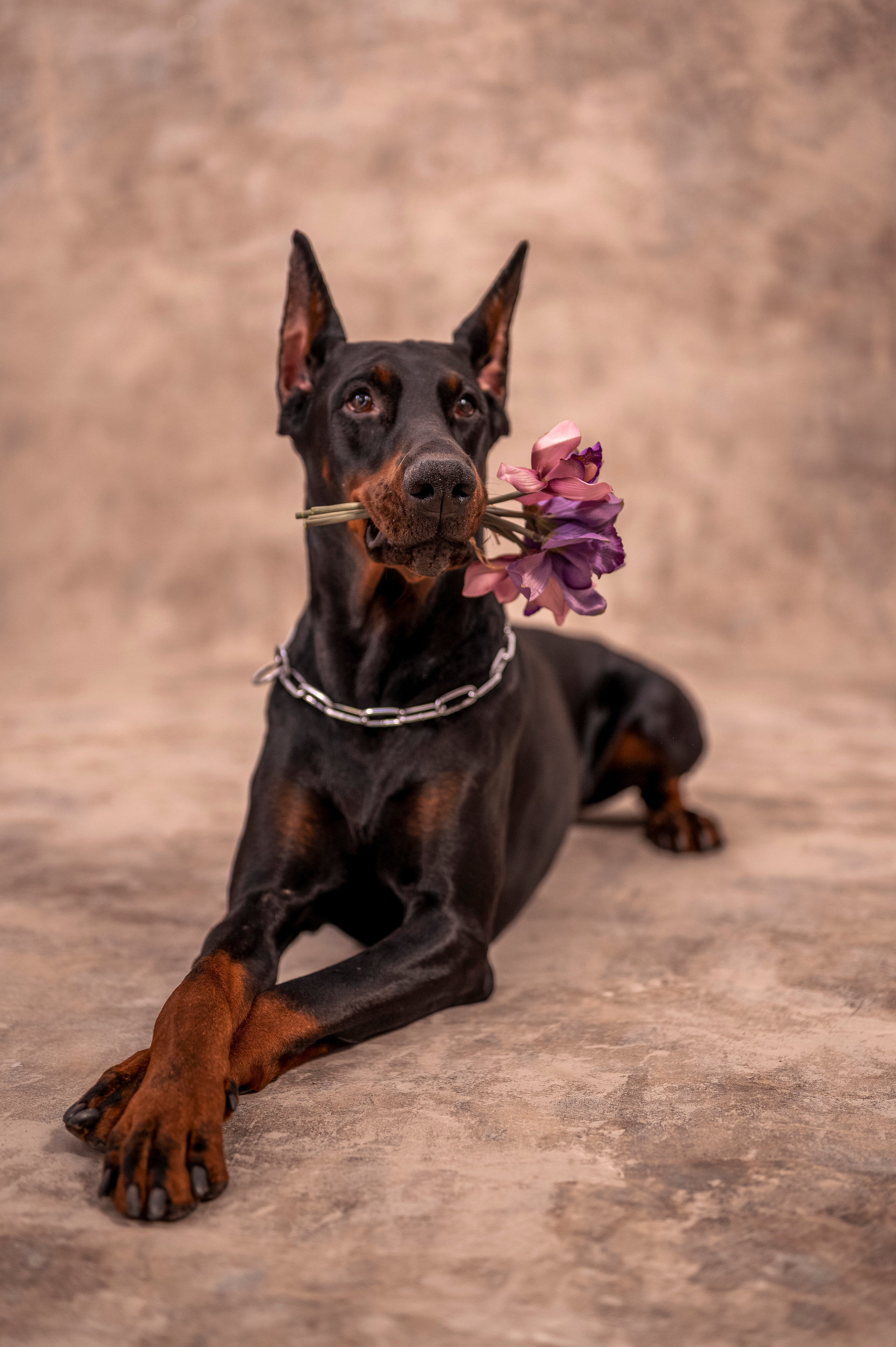 2. Семейный и детский фотограф в Канске и Канском р-не, Красноярск и