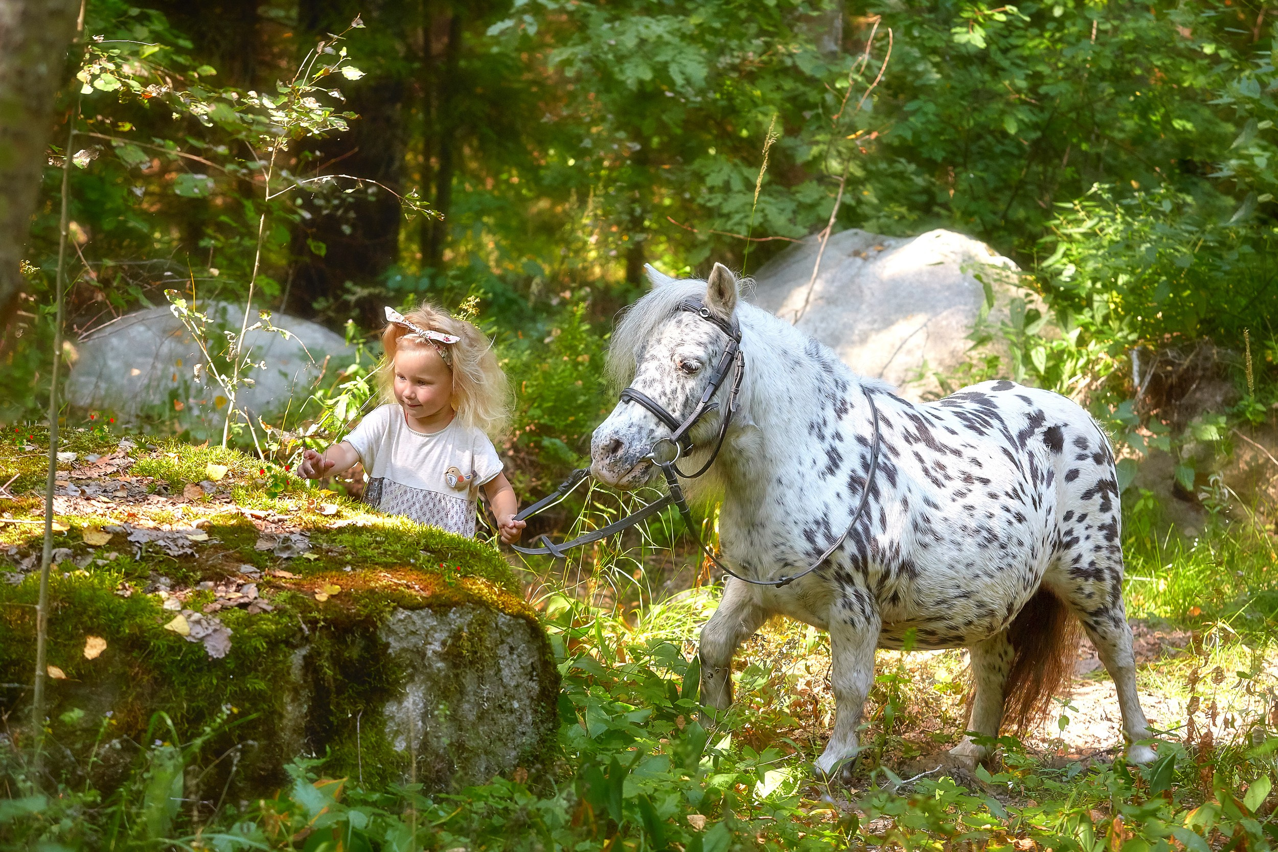 Фотосессия с лошадьми Фотограф Михаил Семенов, г. Ярославль