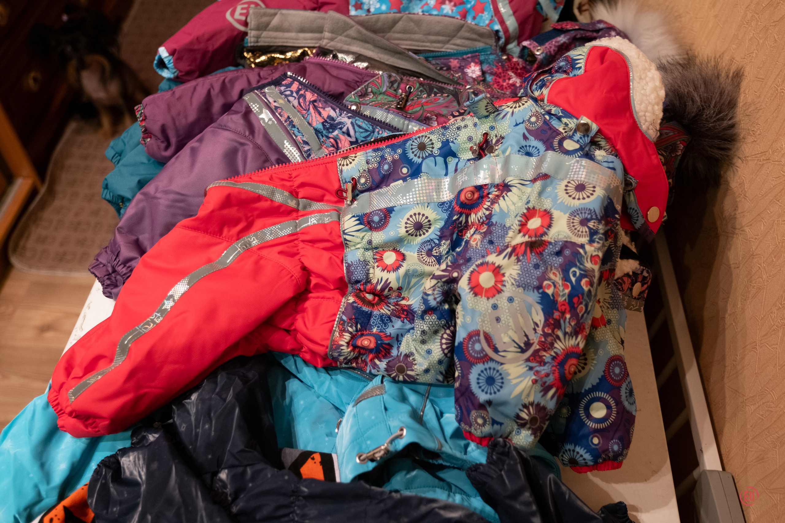 Grace goes shopping for clothes. Chinese Crested Dog Kennel Poale Ell