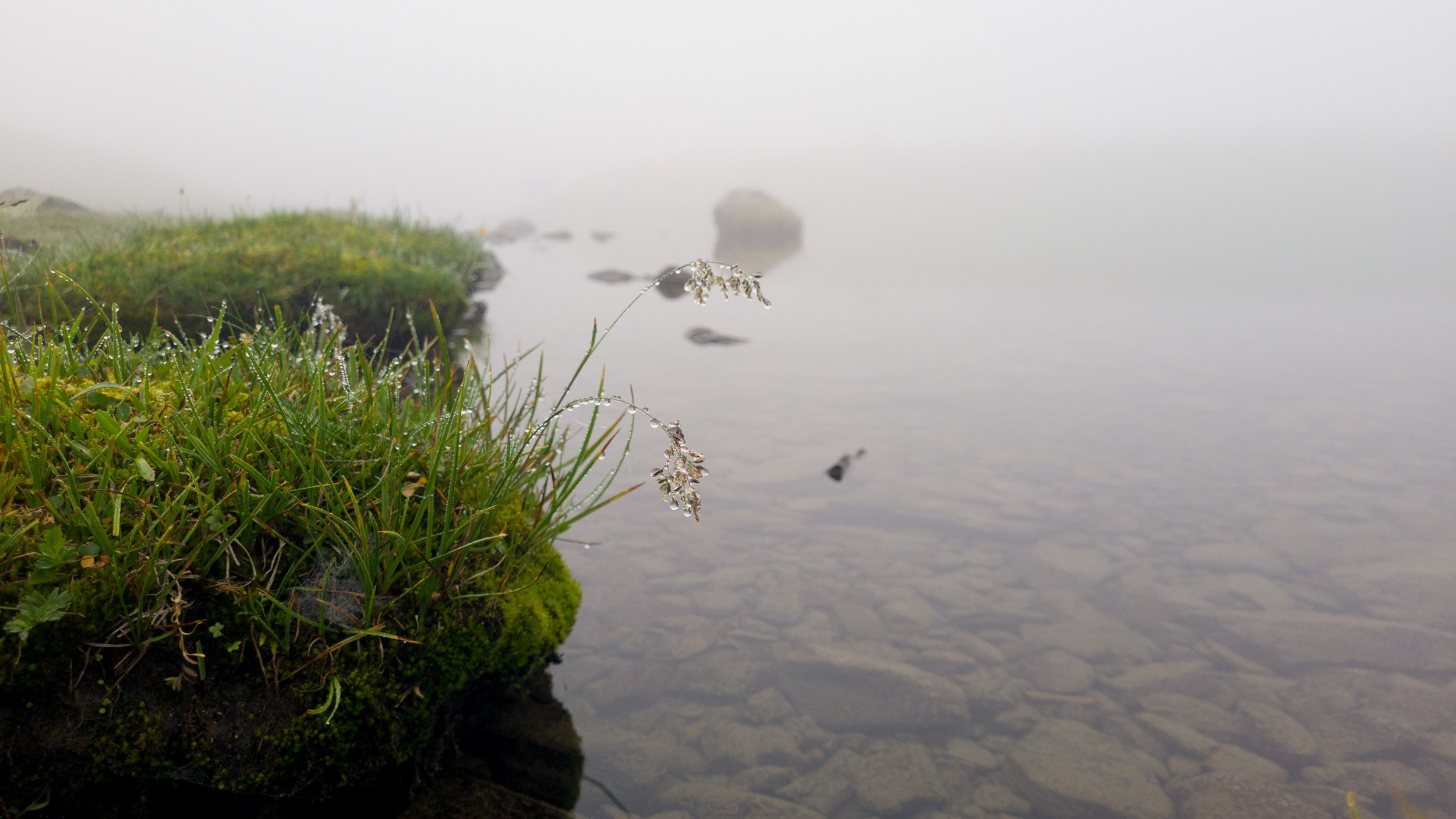 Архыз. Плато Абишира-Ахуба. Пейзажная и архитектурная фотография в Туле, Татьяна Silva