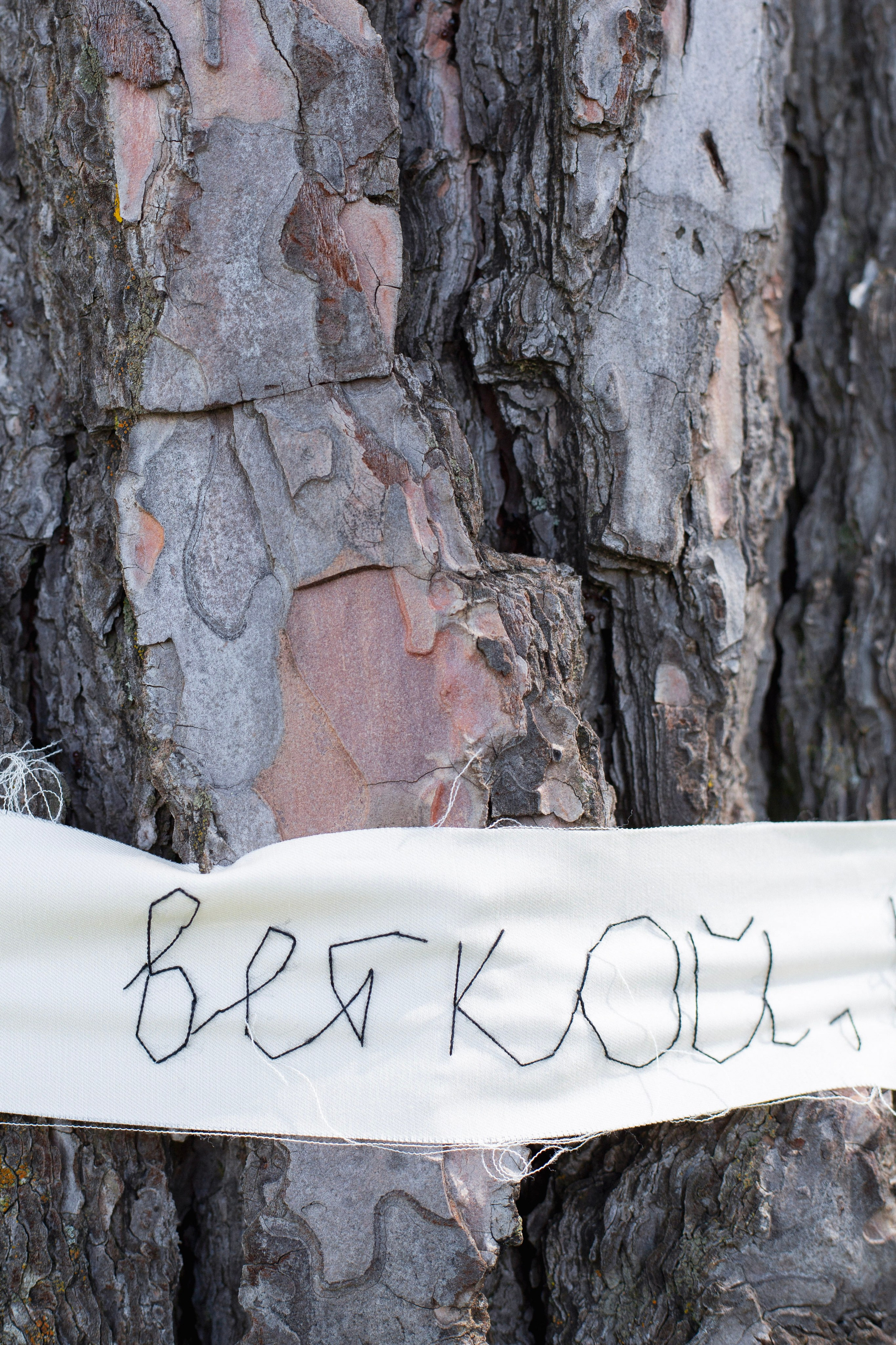 The exhibition under trees. KST