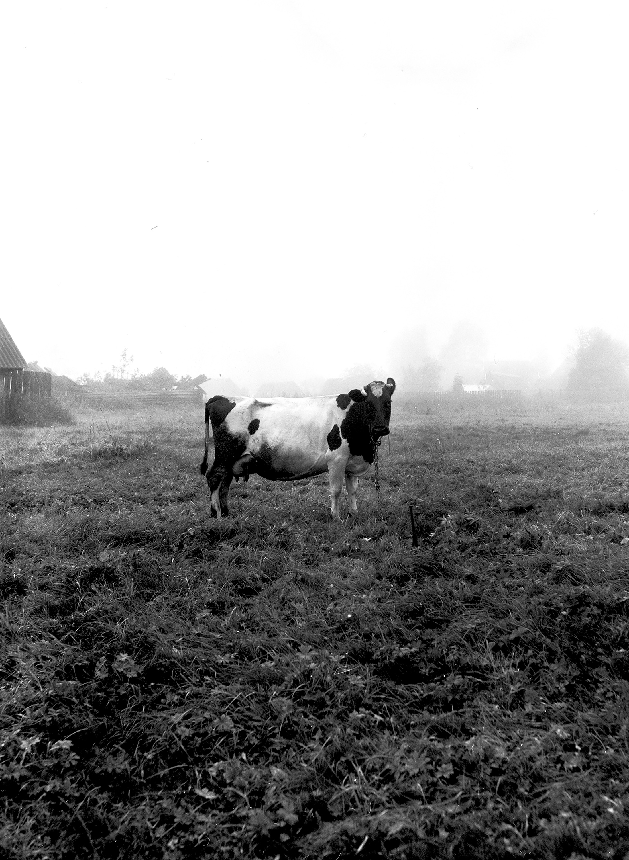 Badland. Valerii Konkov