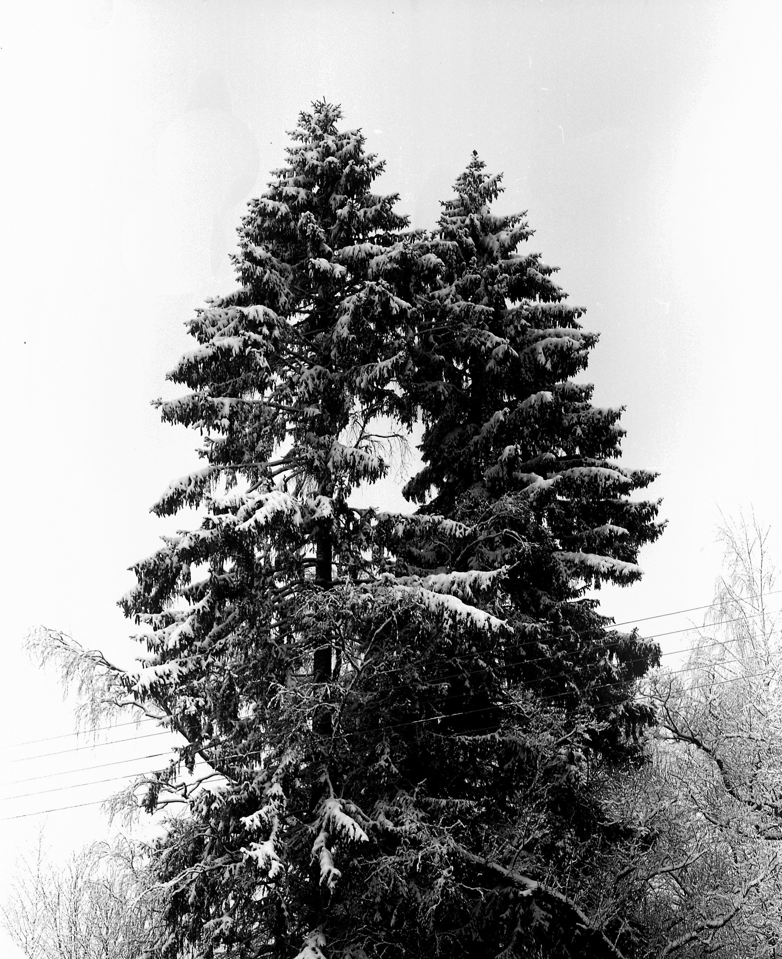 Badland. Valerii Konkov