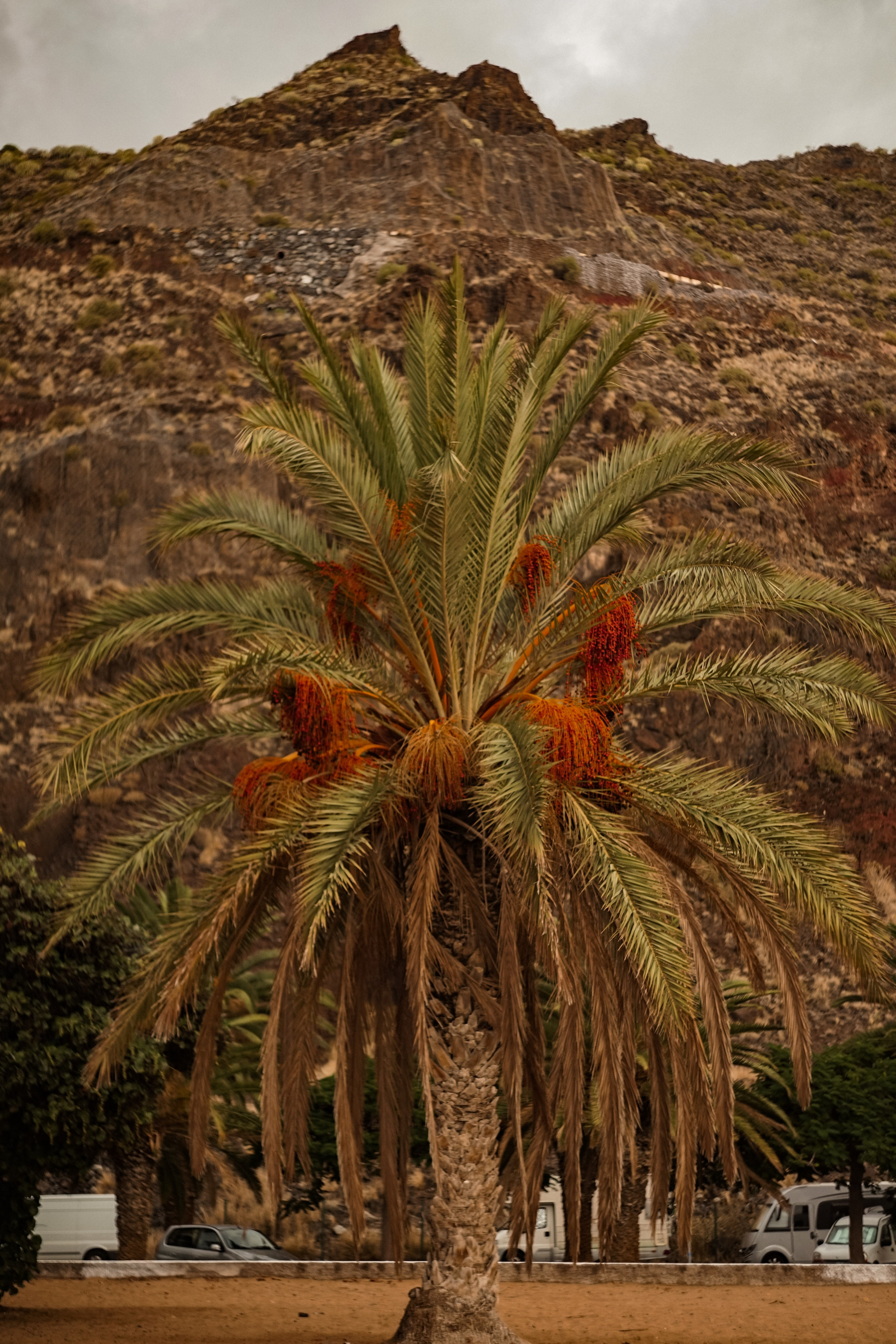 Tenerife. Фотограф и видеограф в Израиле Соня Скай