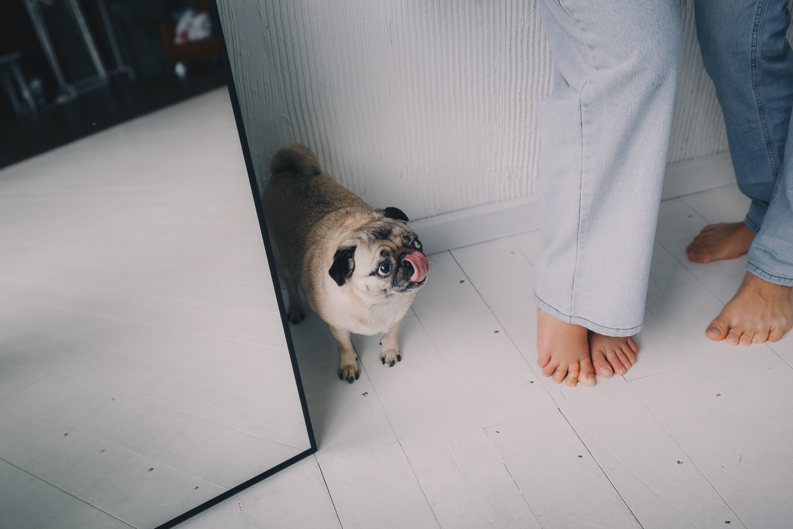 Фотосессия в ожидании малыша. Фотограф Евгения Мальцева, Архангельск