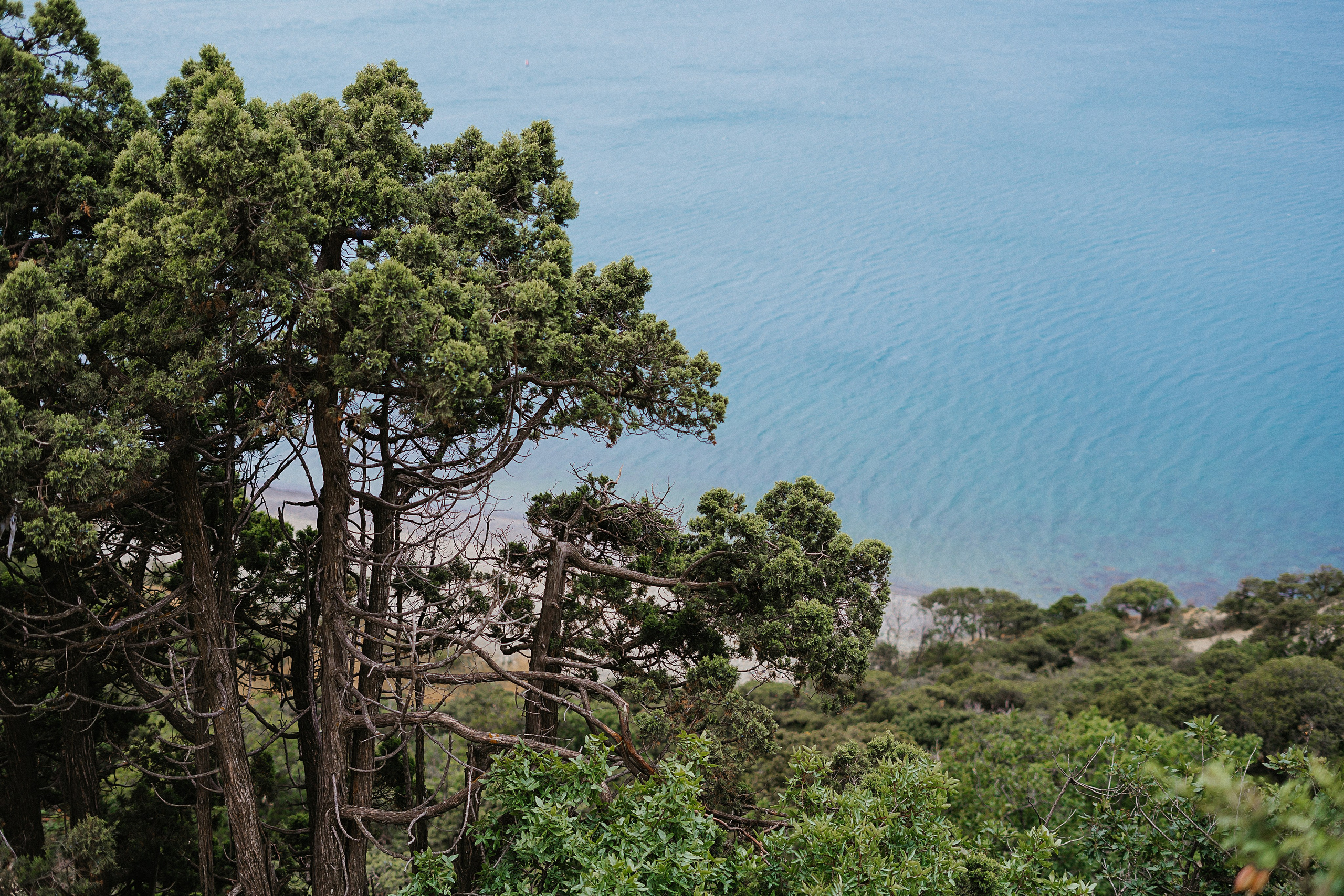 МЕСТА ДЛЯ ФОТОСЕССИИ В АНАПЕ. Свадебный и семейный фотограф/видеограф в Краснодаре Наталья Осинская