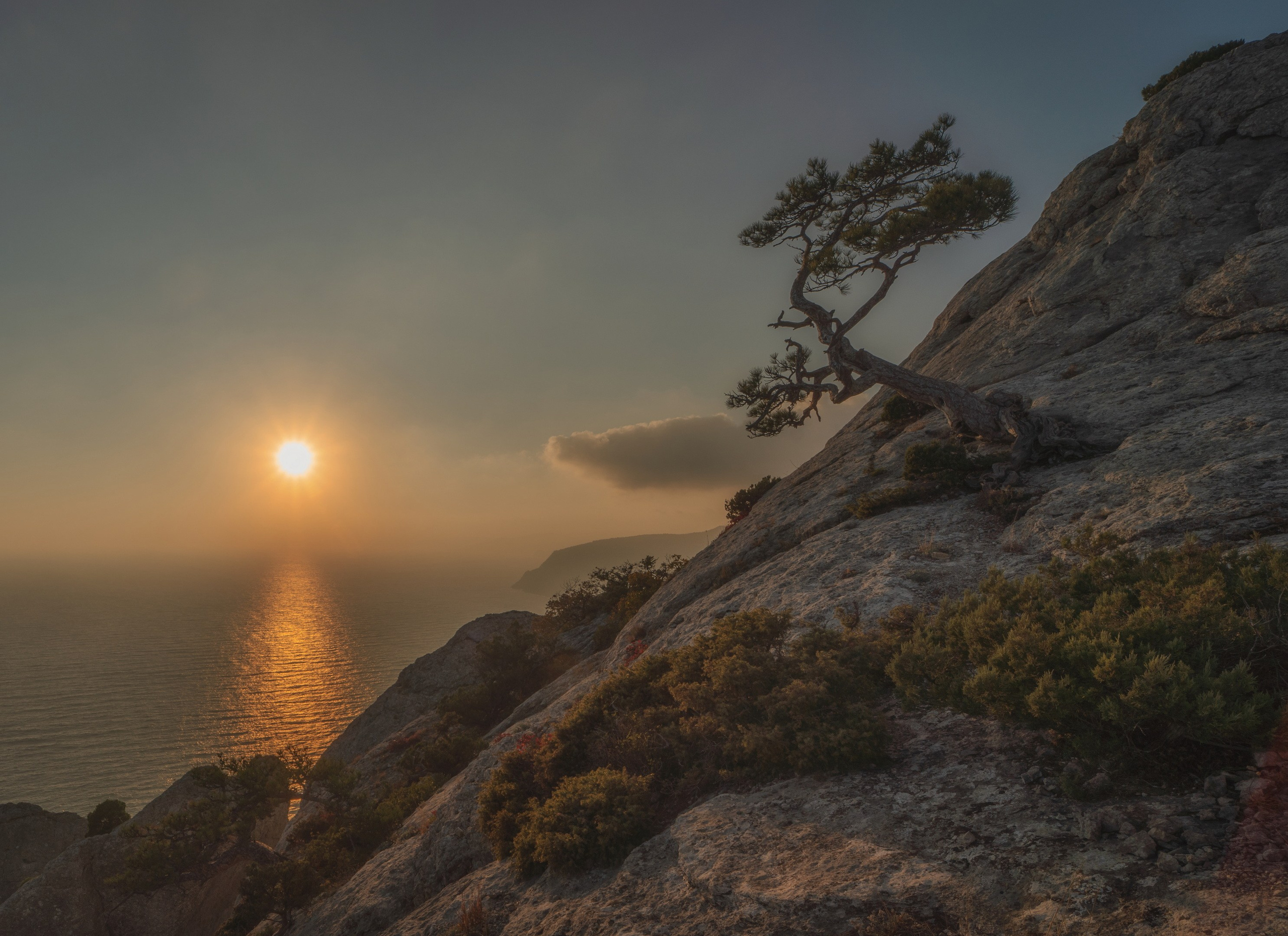 Творчество. Константин Дем | Фотограф