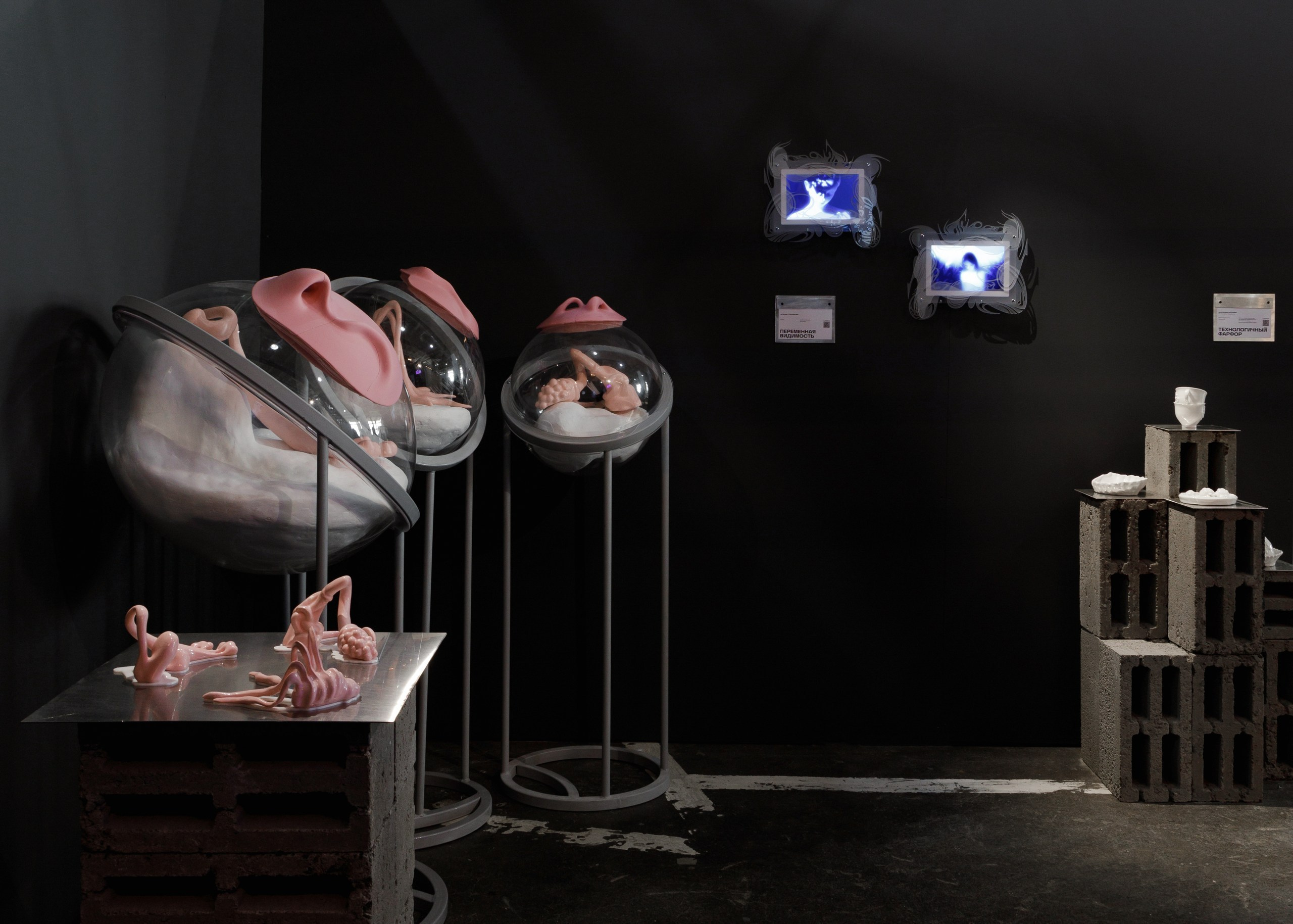 PORT ART FAIR 2026. Anna Zavediy