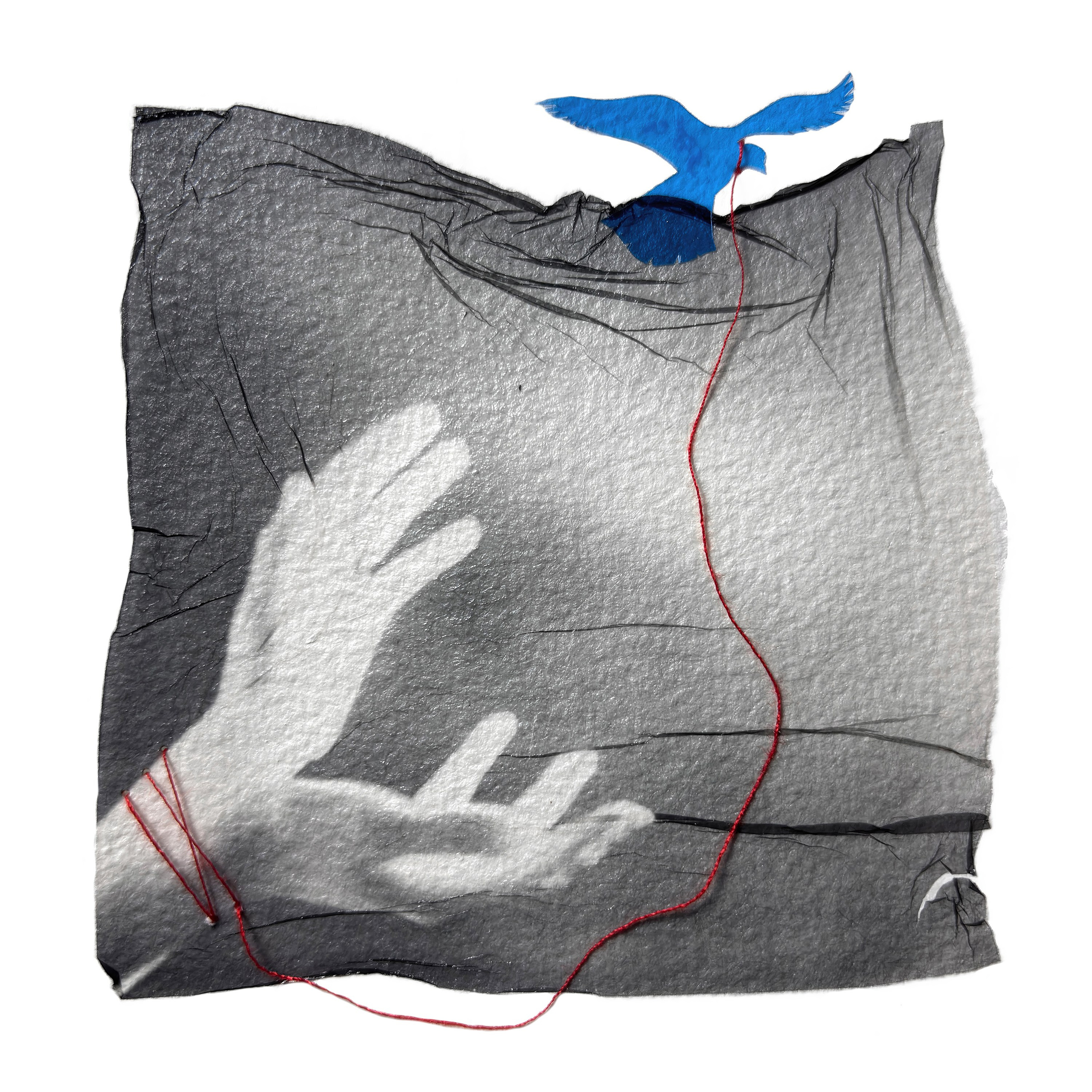 Liberation project by Vladimir Borele. Vladimir Borele Photographer