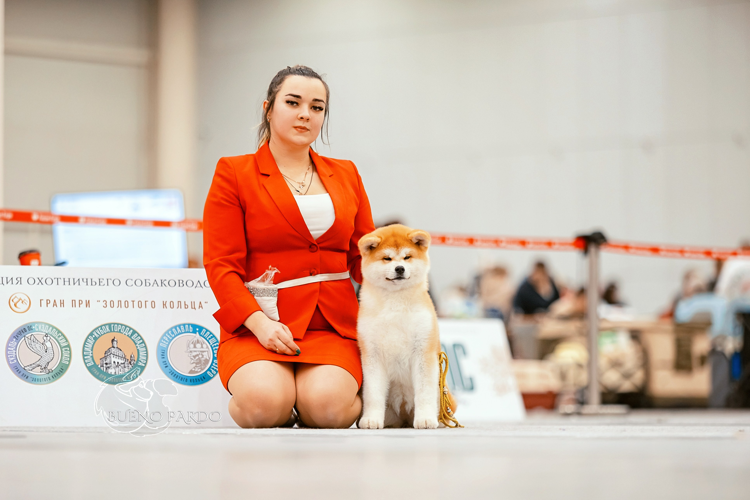 Собаки питомника Bueno Pardo. Питомник собак Акита, Хаски, Корги