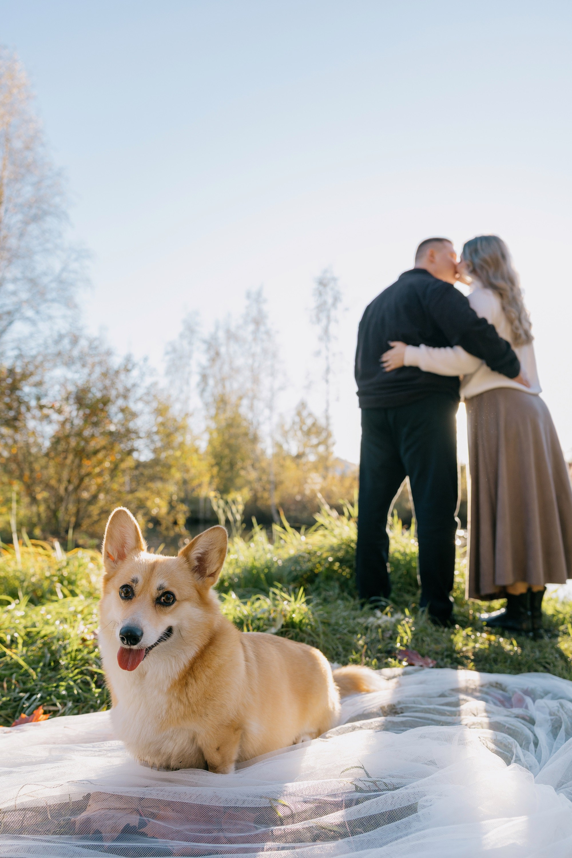 Егор и Кристина Love Story. Свадебный фотограф в Санкт-Петербурге Рябикин Александр , занимаюсь св