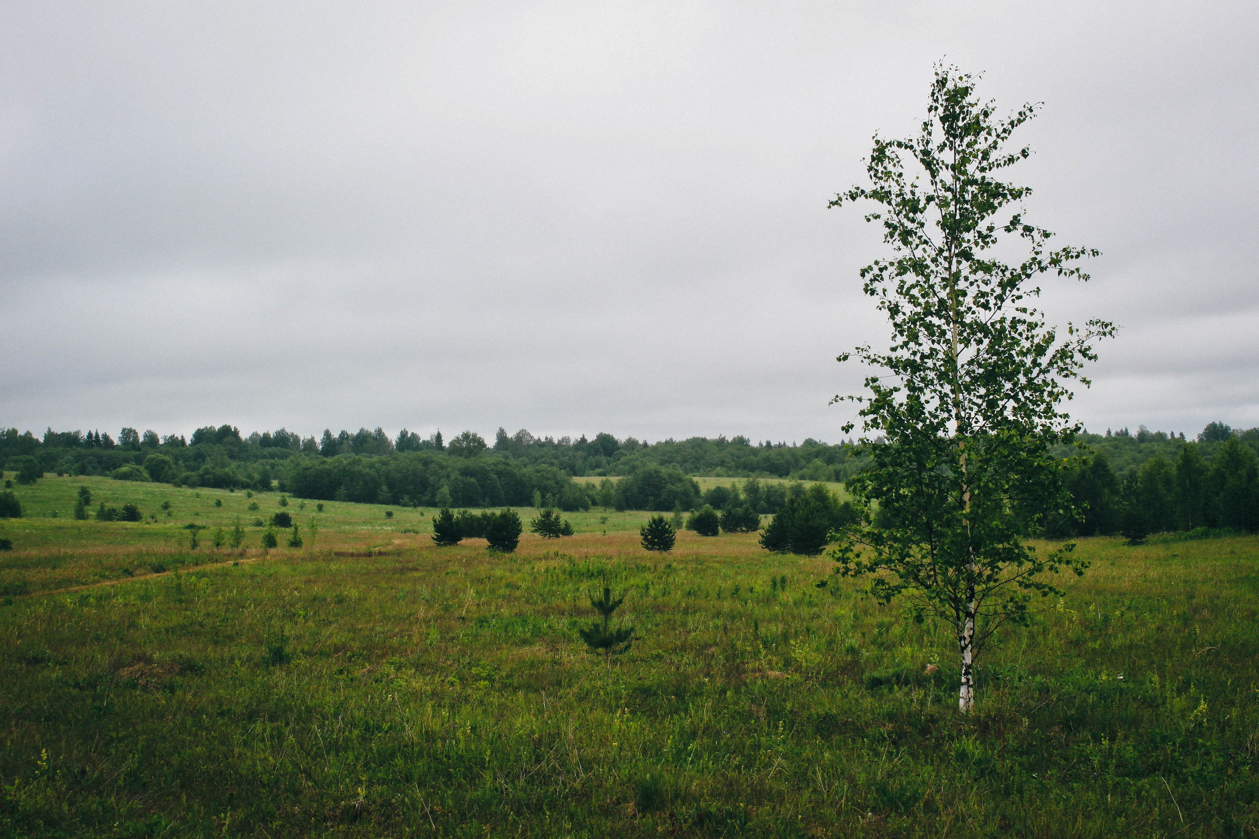 Дер. Климово, пос. Мирный. Фотограф Ксения Монахова