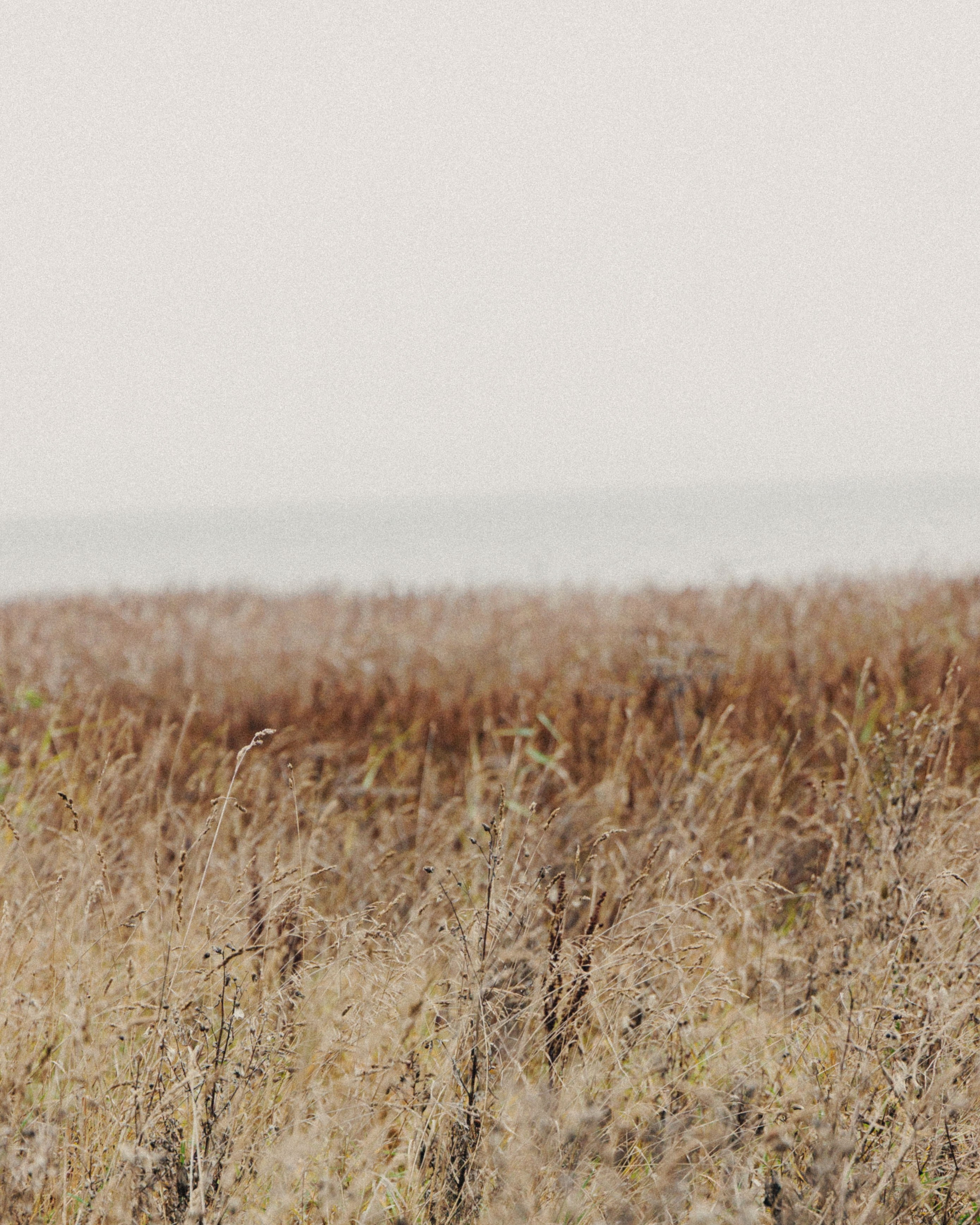 О том, как мы исследовали земли Залесские. Главная