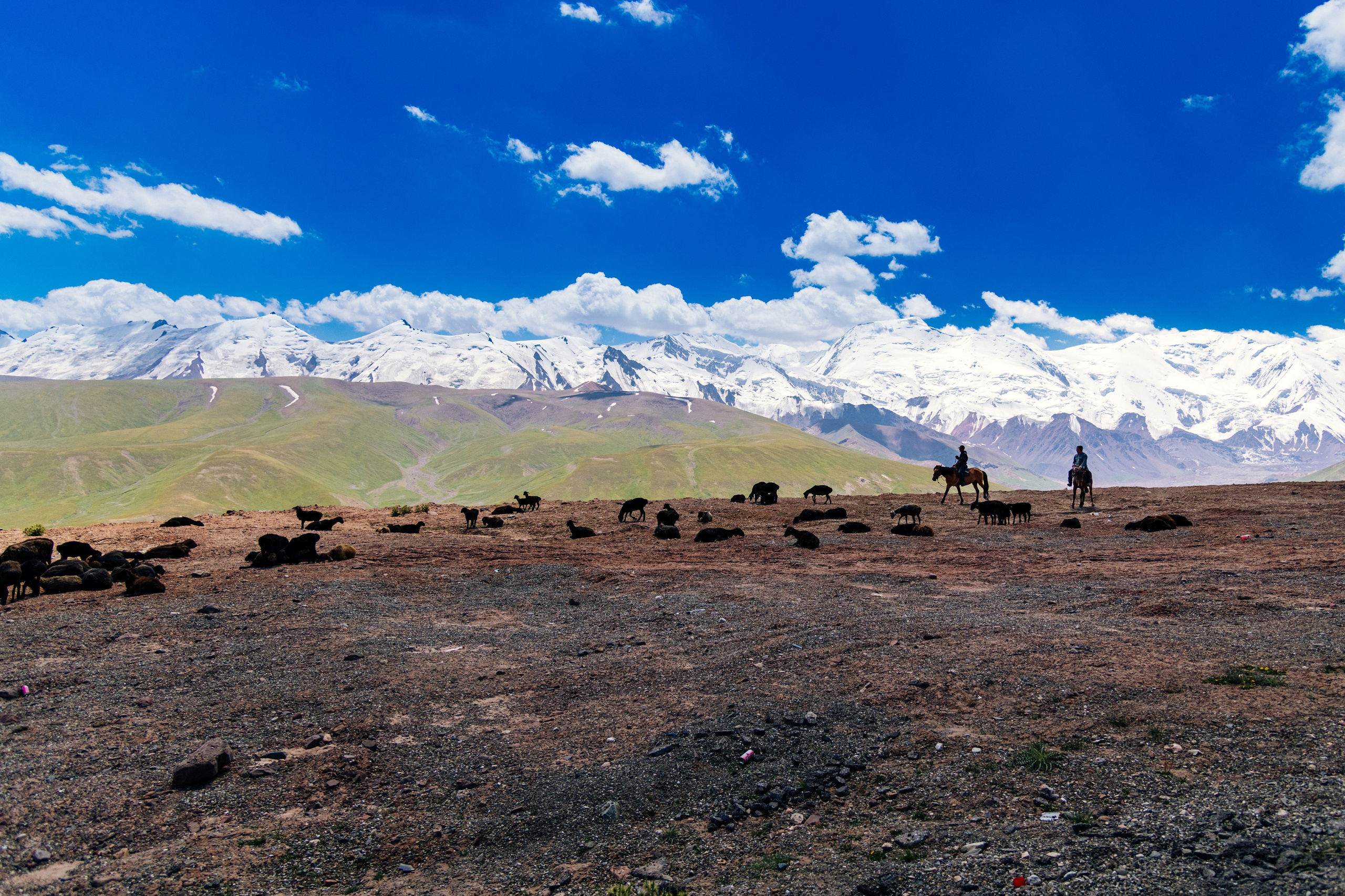 Средняя Азия подборка. Роман Свободный — интерьерная и архитектурная съёмка, Москва и МО