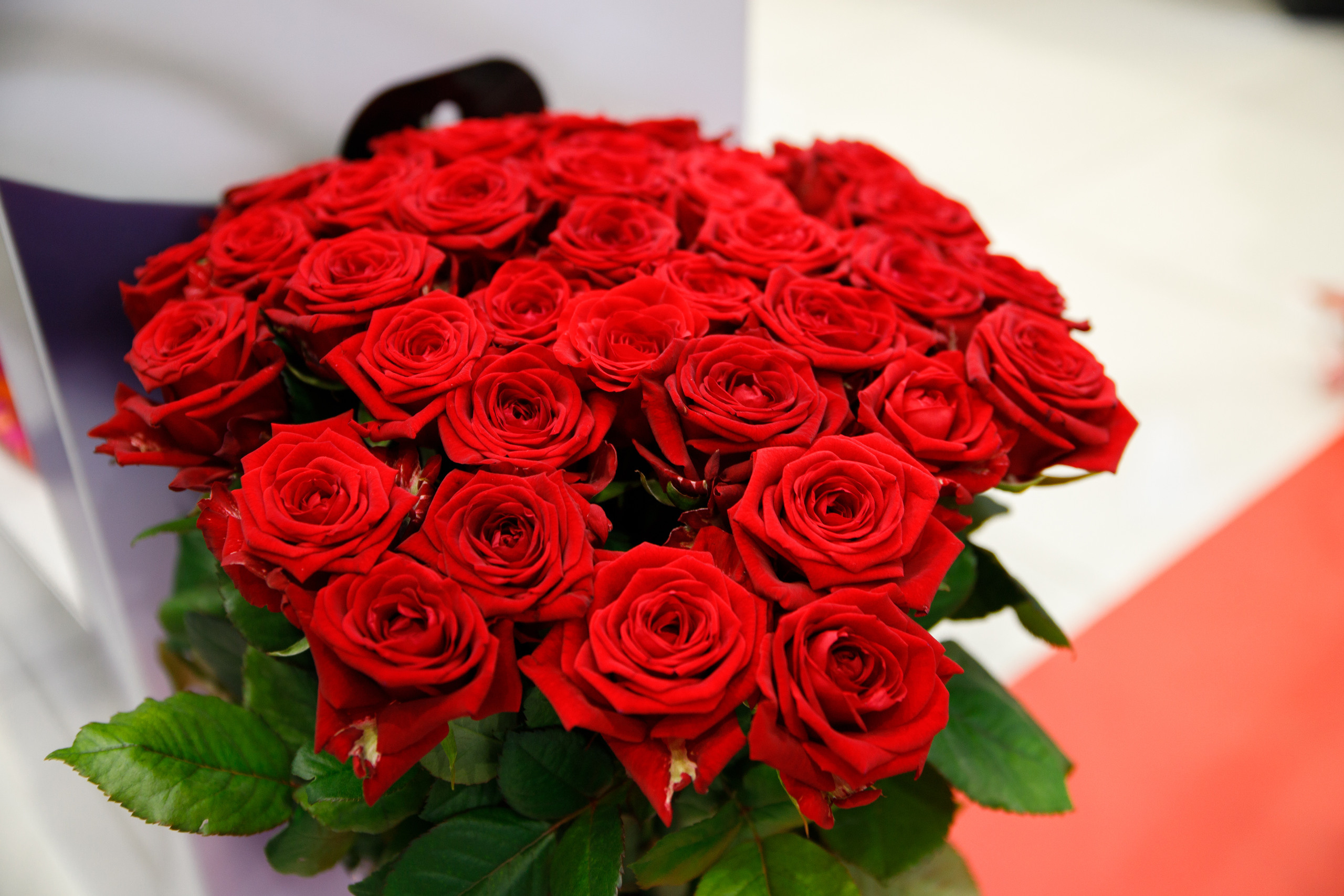 Clinique. Портретный и репортажный фотограф Марина Кузьмина