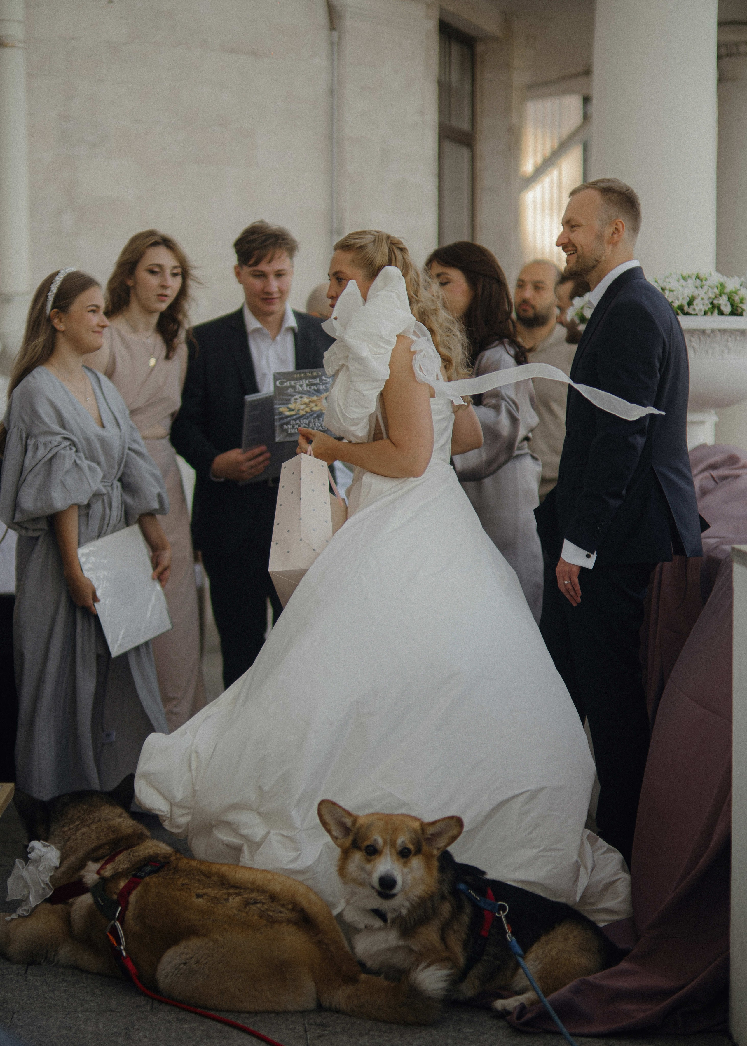 Love&Paws. Сентиментальная свадебная фотография