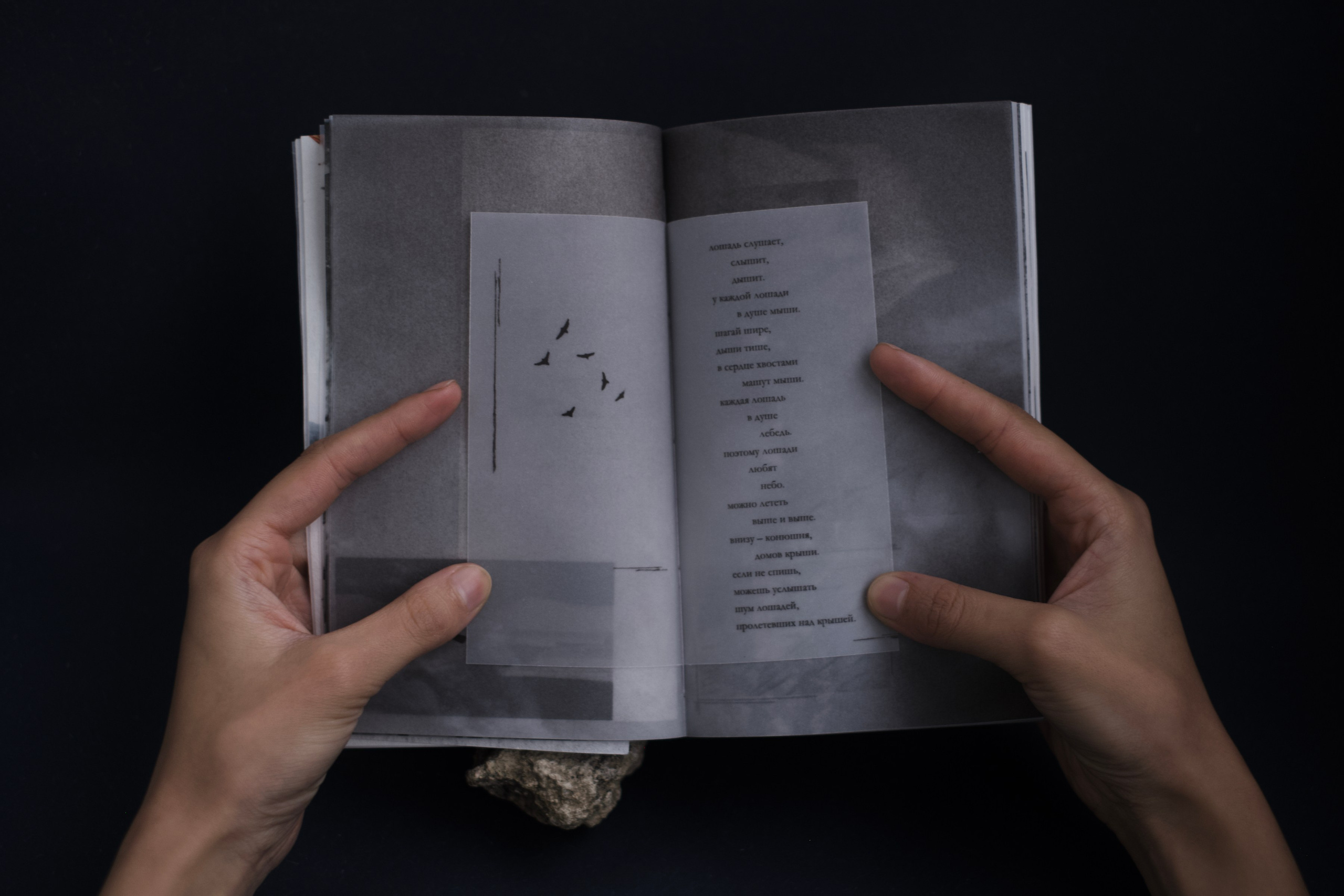 Книга «Дирижабли и вишневые косточки»
