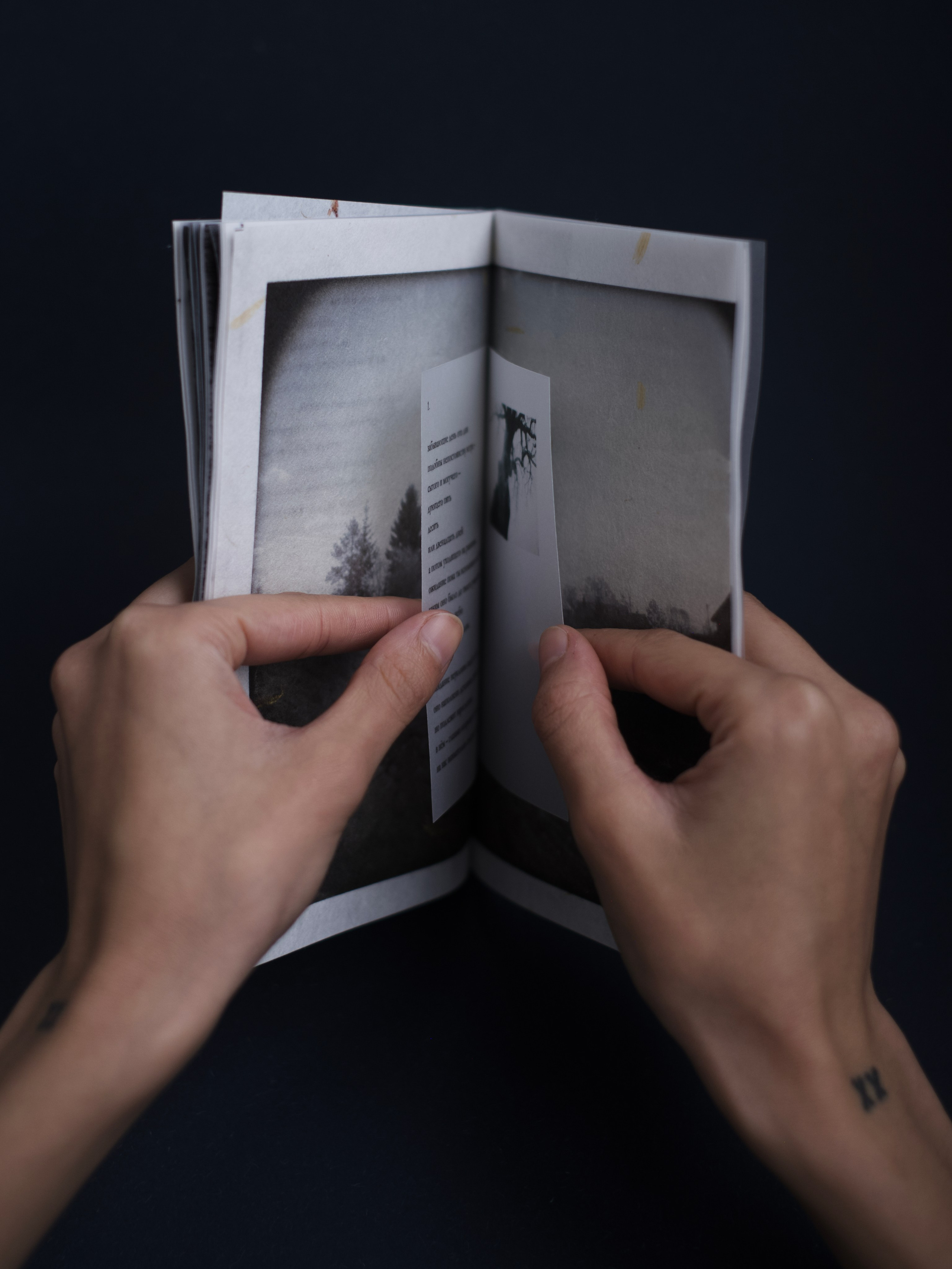 Книга «Дирижабли и вишневые косточки»