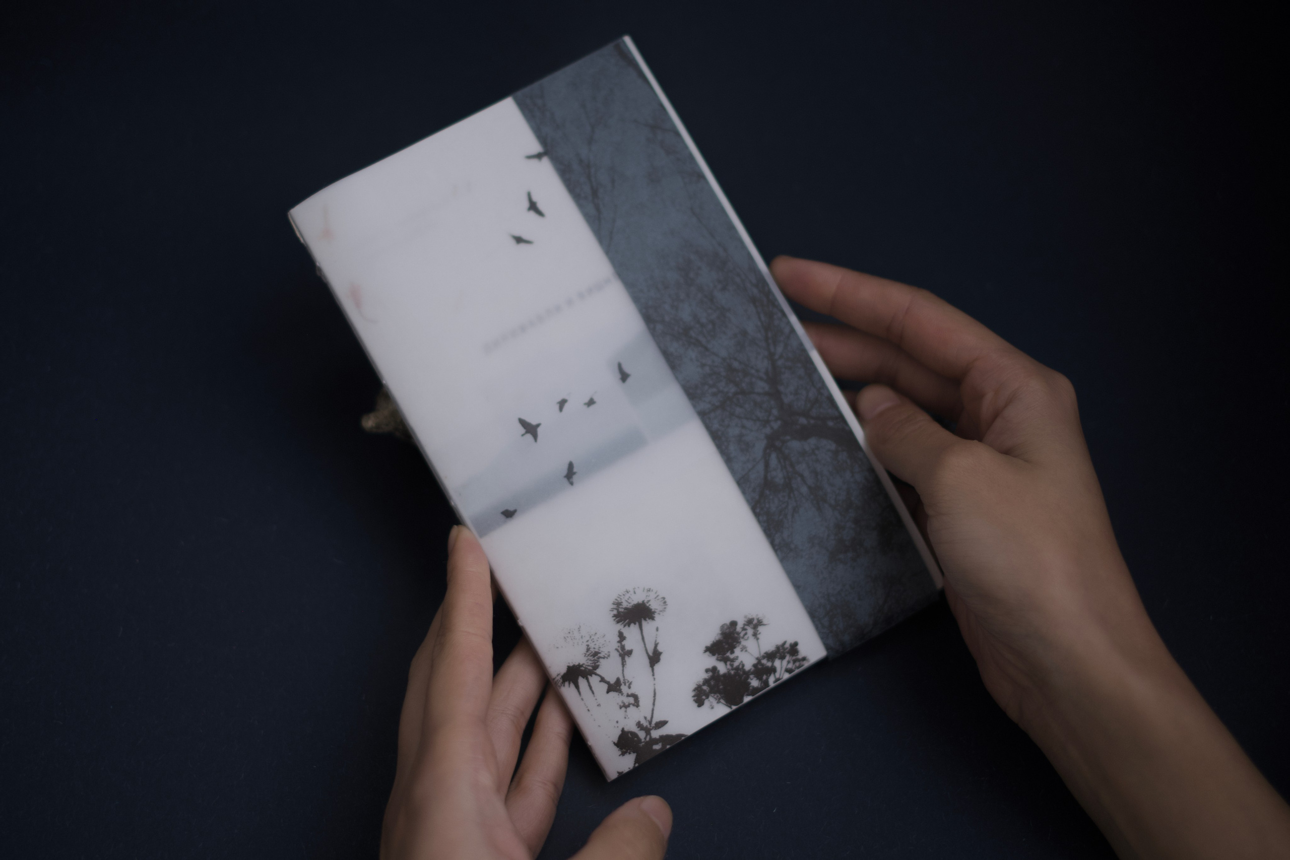 Книга «Дирижабли и вишневые косточки»