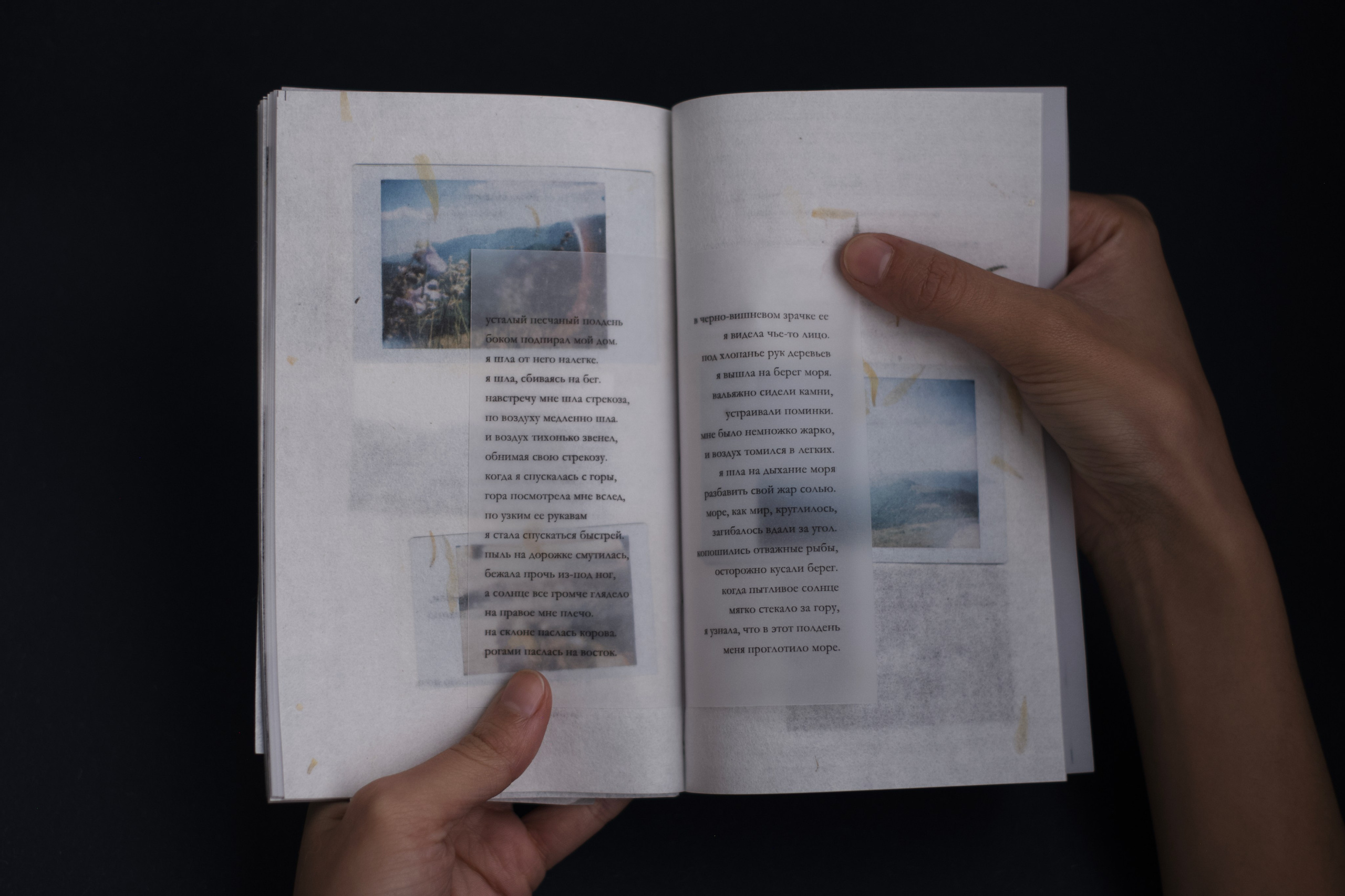 Книга «Дирижабли и вишневые косточки»