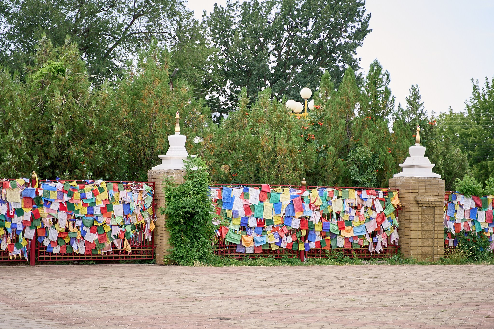 Элиста 08.2024. Петр Ступень. Свадебное, семейное фото и видео. Москва. Краснодар