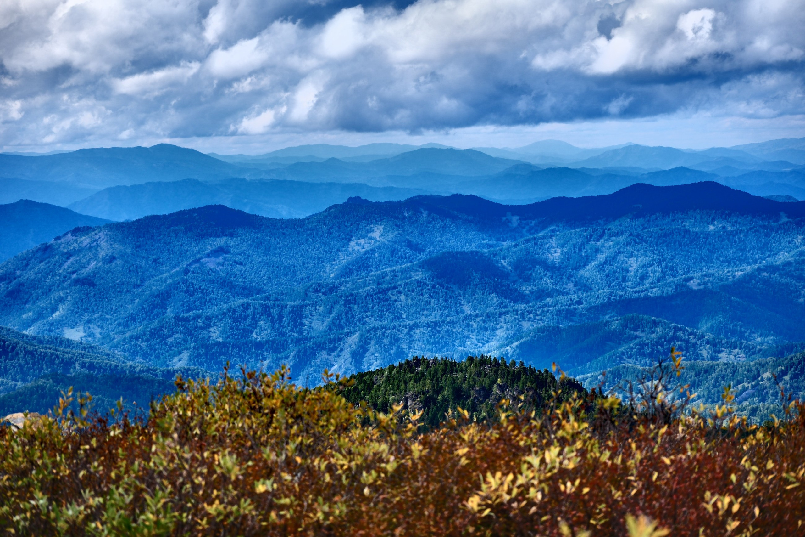 Главная. Юрий Березнюк. Фотограф в Новороссийске. Фотожурналистика