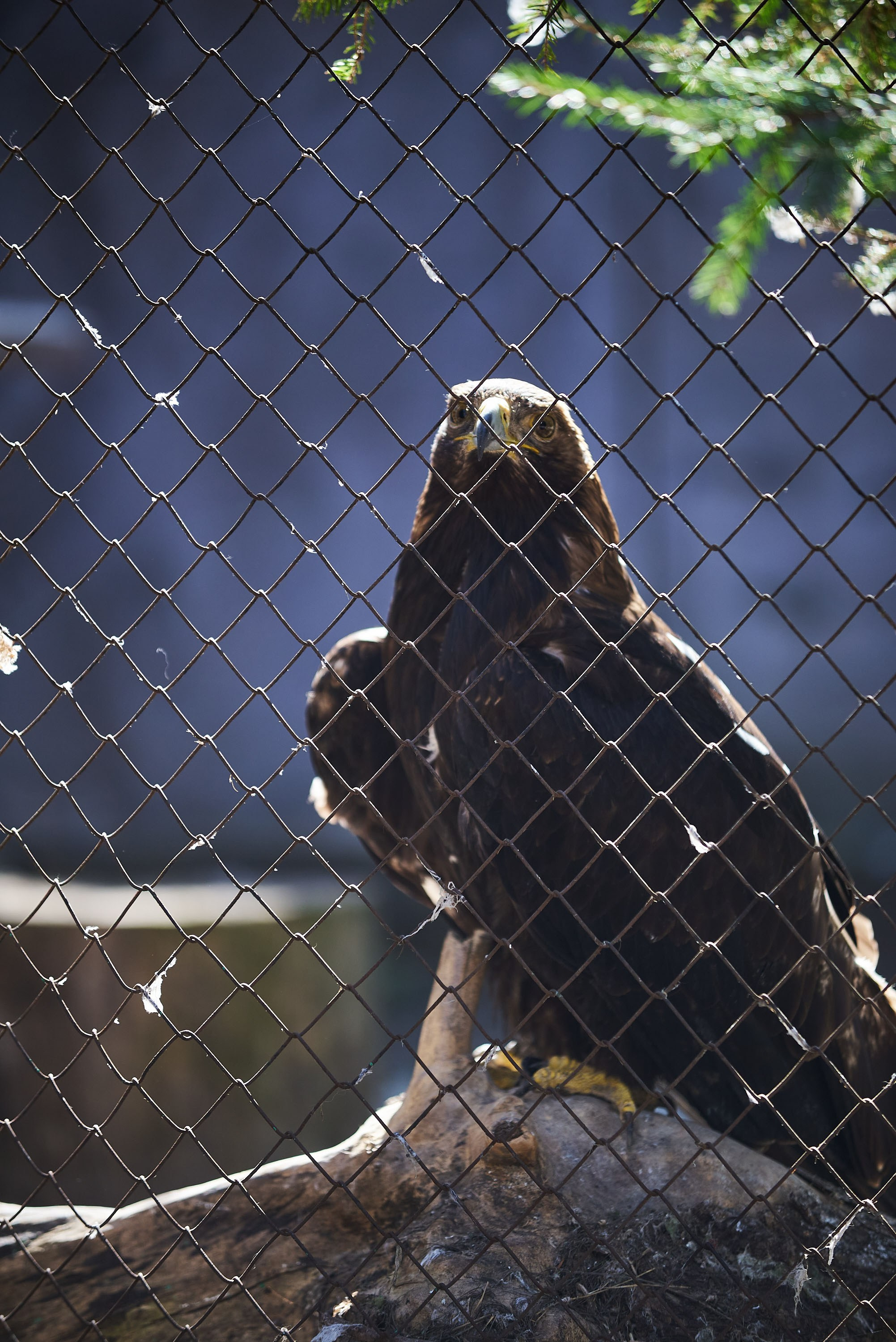 Зоопарк Иваново. Фотограф в Иваново: Каталожная съемка одежды и постельного белья, Wildberries