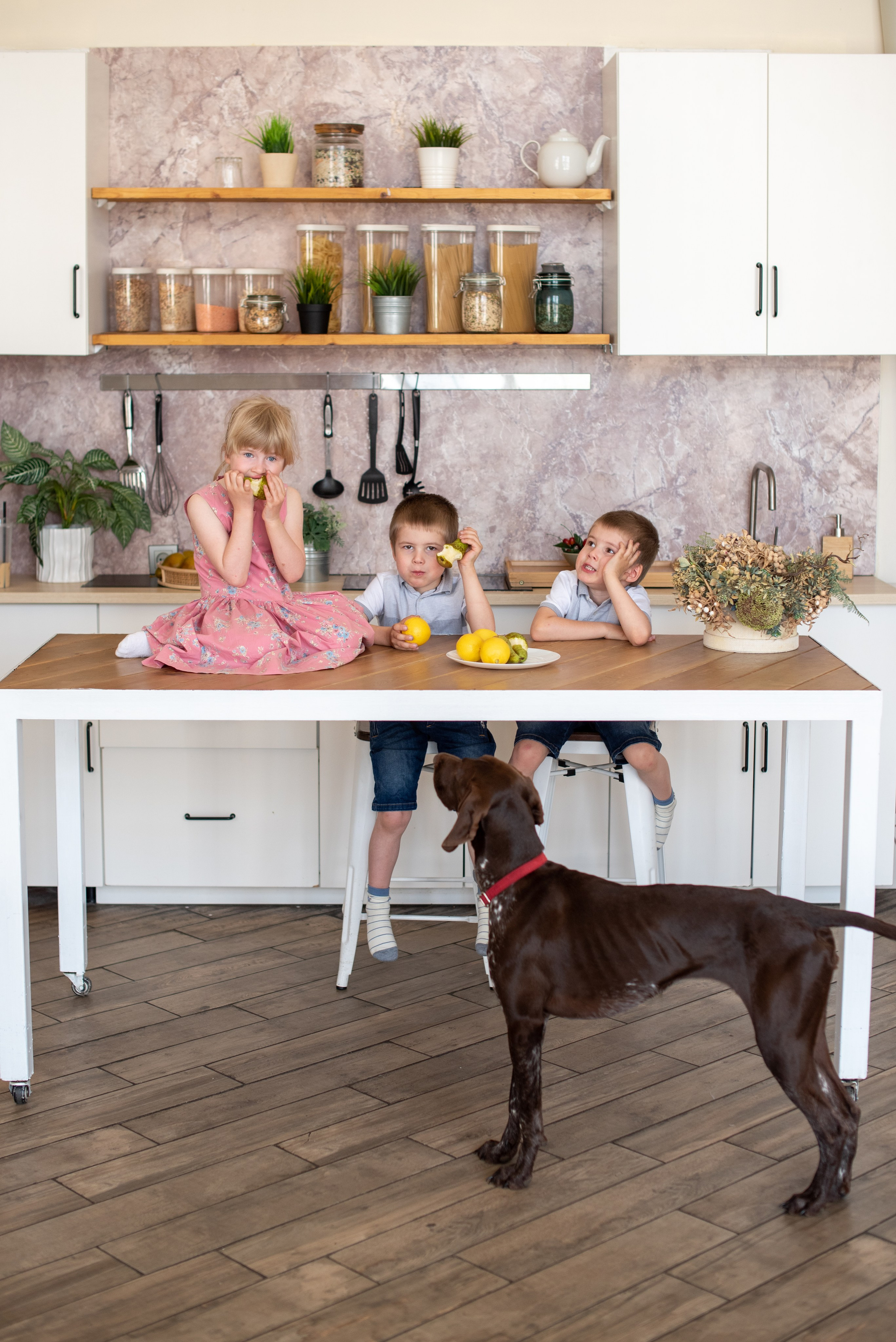 Наталья и ее большая семья. Семейный и свадебный фотограф в Москве Пугачева Ольга