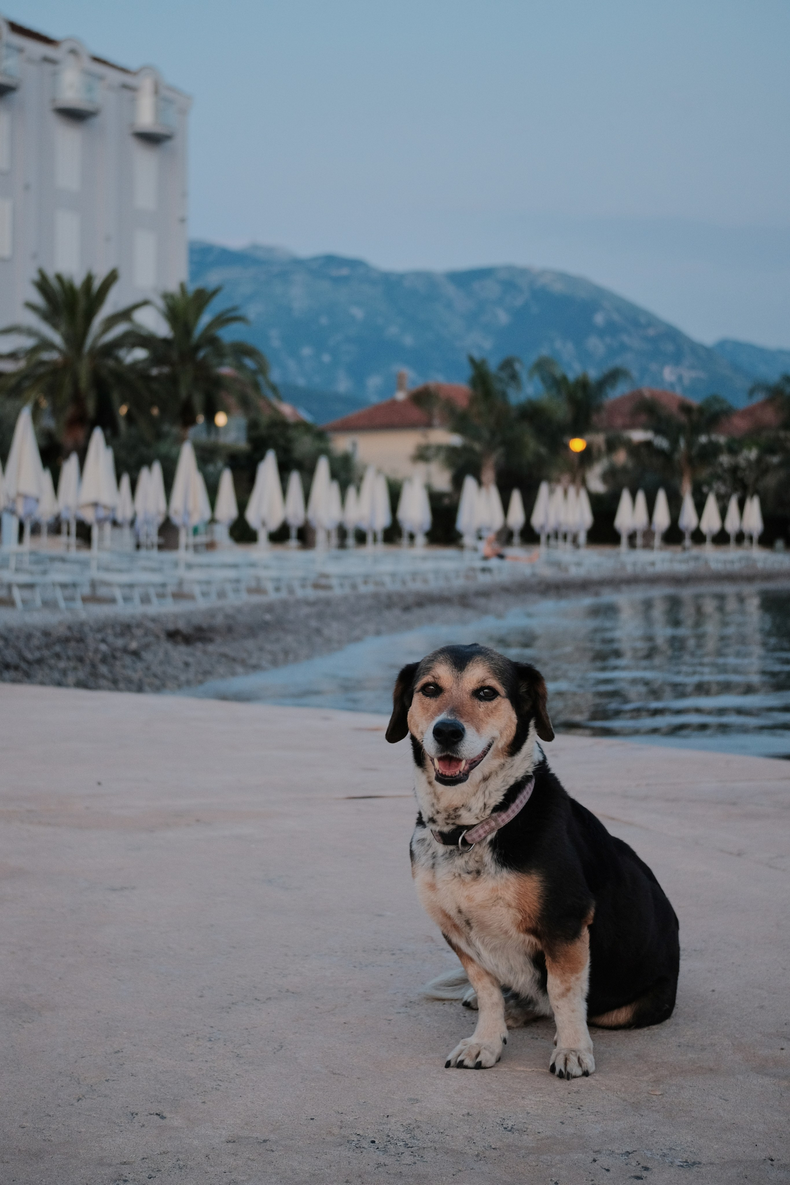 Montenegro. Creative travel photographer — Berg Daria