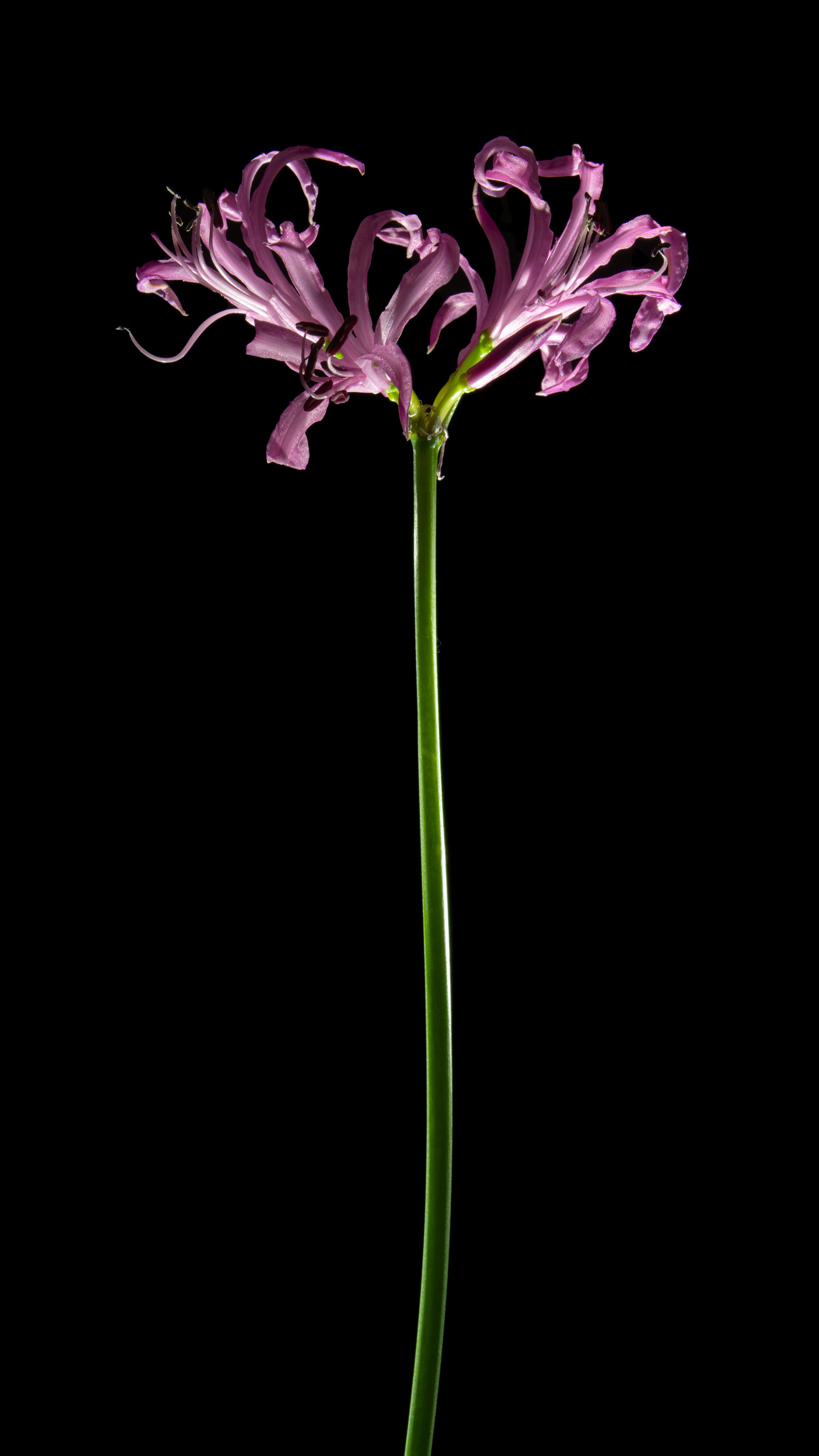 Проекты. Sakunov Photo