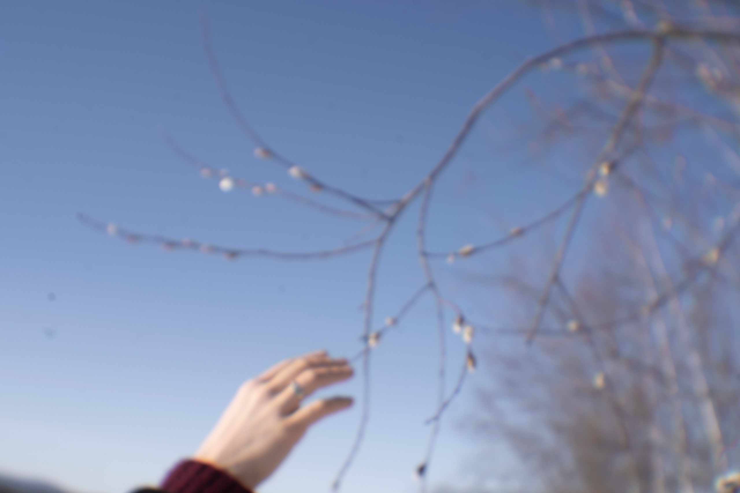 Фото практика: Смотри глубже. Семейный и детский фотограф в Хабаровске Ковалева Таисия