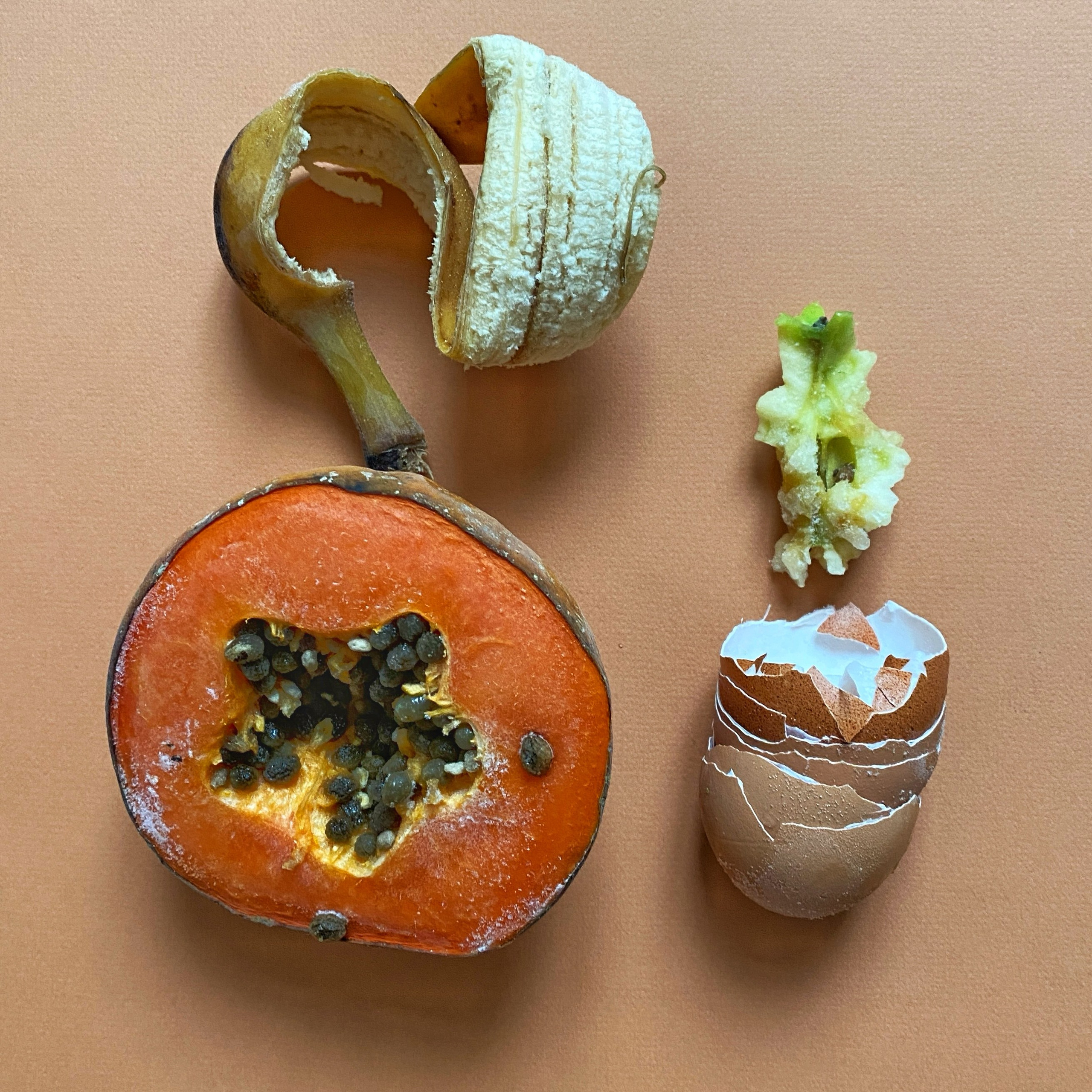 Эль Компостэ'24. Khorevali Лиза Хорева