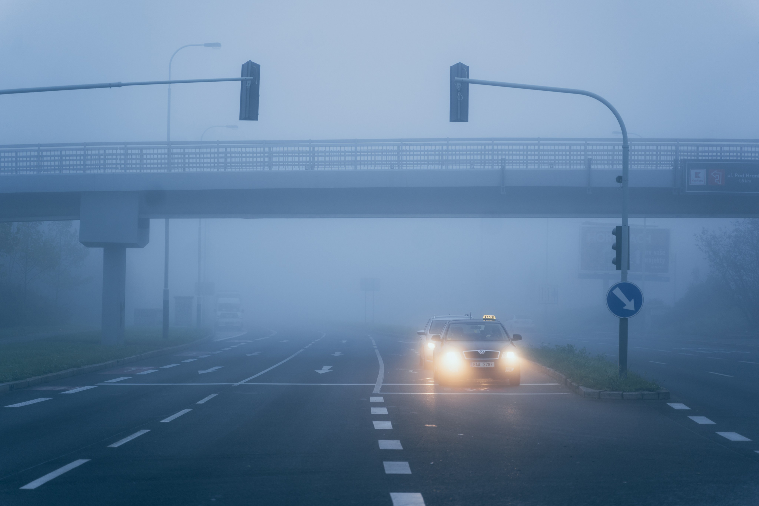 Курс «Стрит фотография»