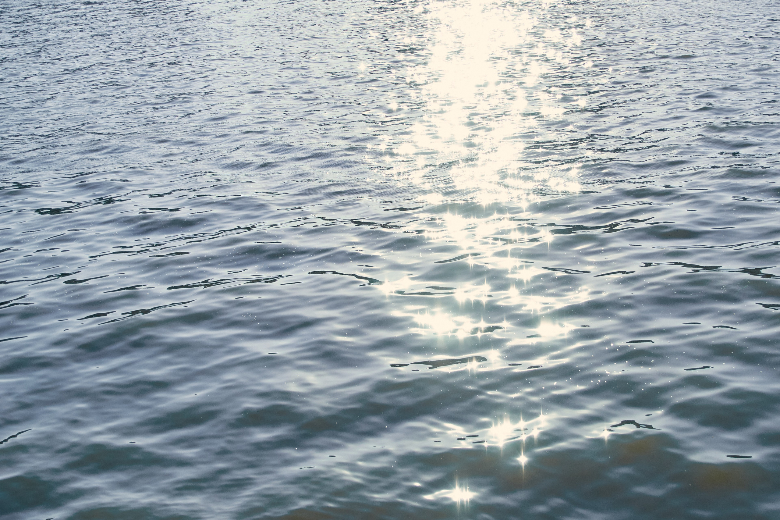 Свадебная серия Вероники и Владислава. Фотограф в Москве и Московской области (Ю-В) Олеся Макарова