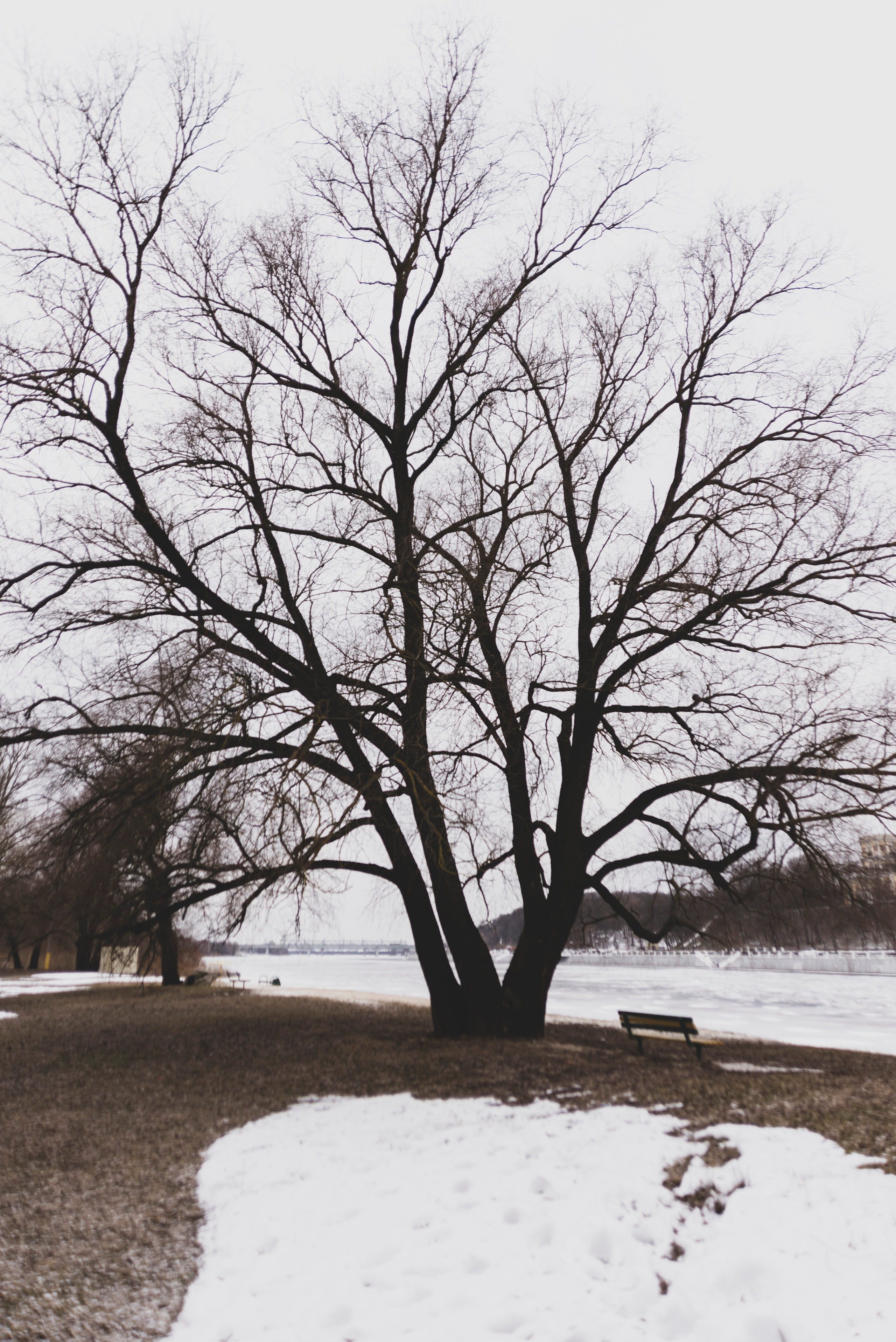 Художественные фотографии и фотокартины на продажу. Фотограф (photographer) Lischinski Vitaliy