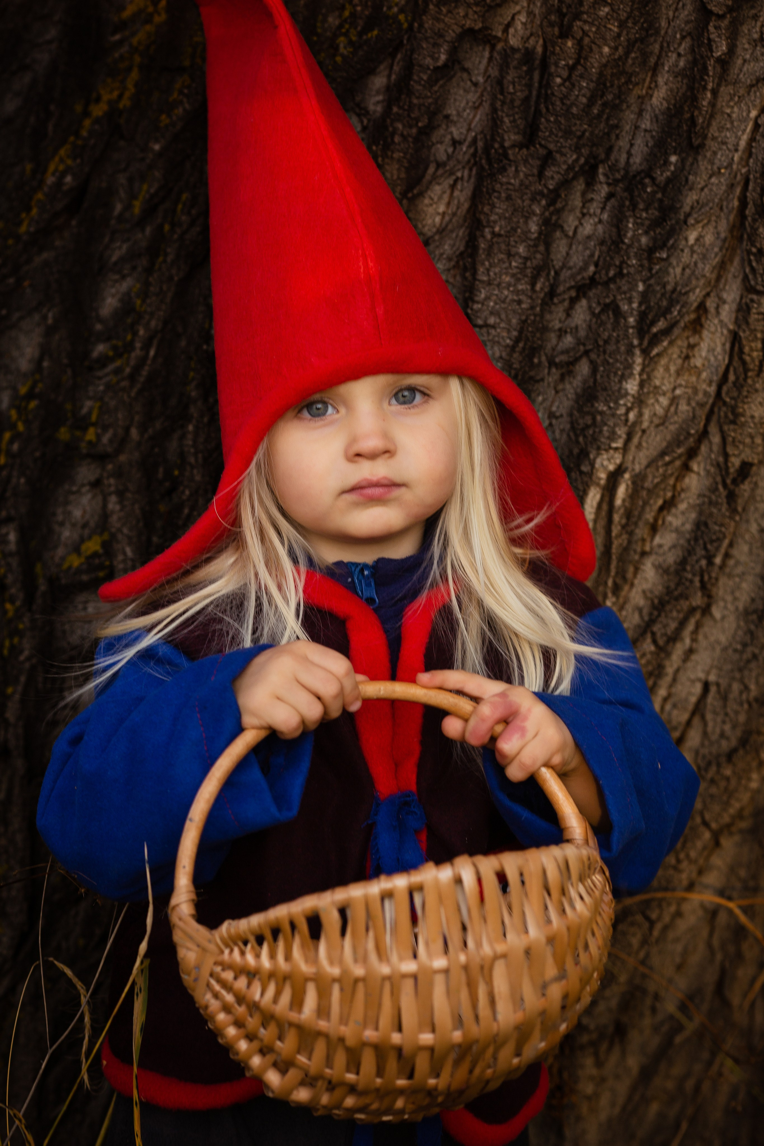 Лесные гномы