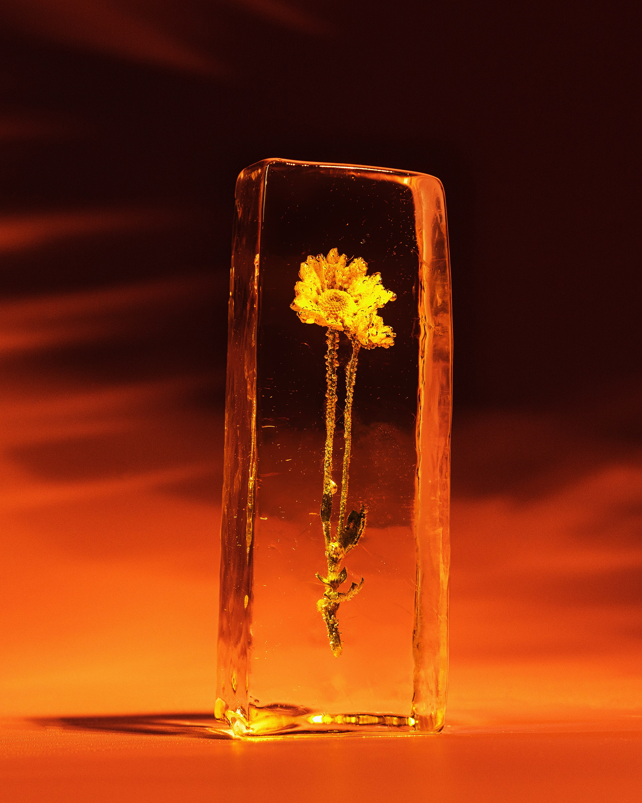 Фотосъемка льда для коктейлей в Смоленске. Фотограф | Михаил Буш Смоленск