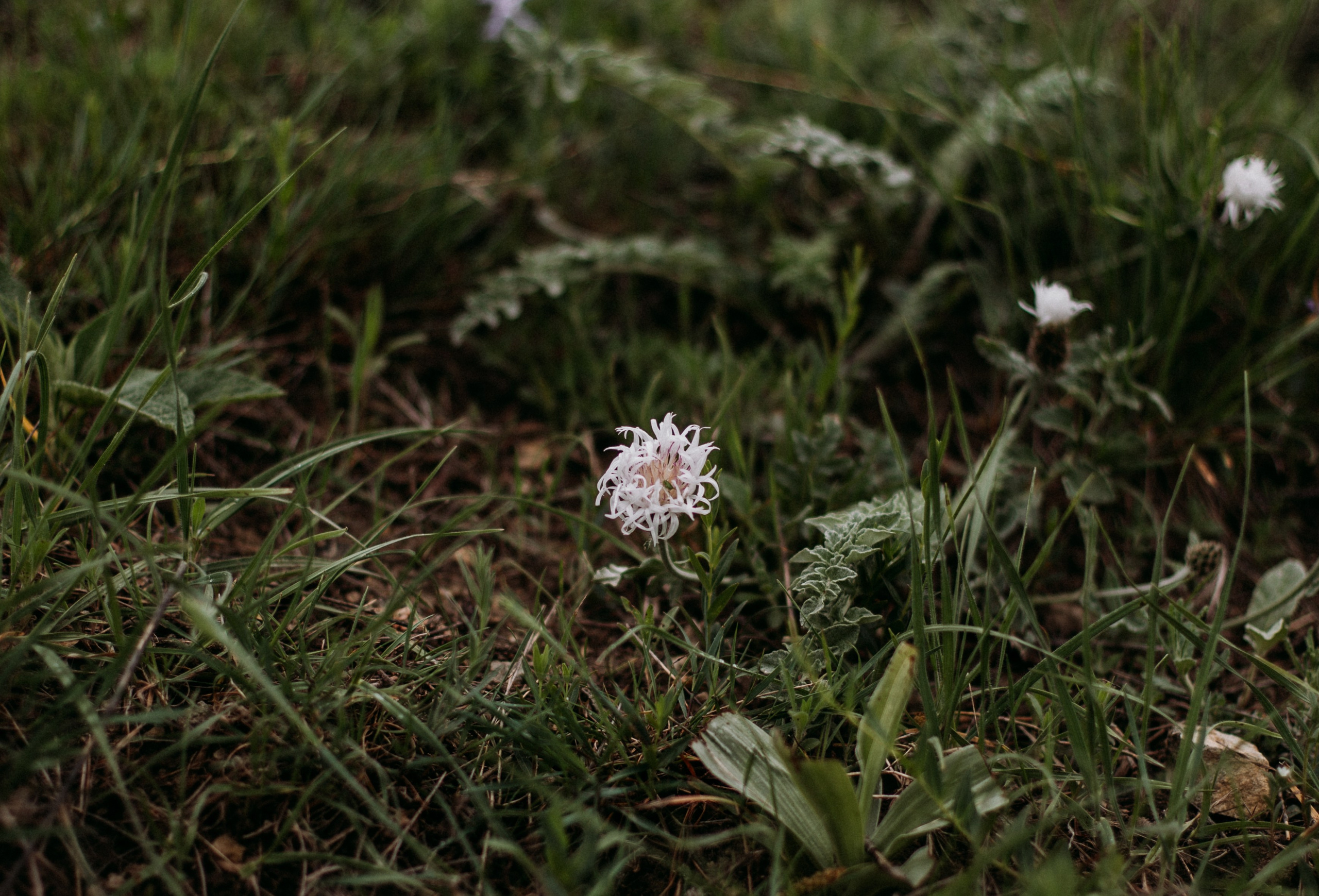 Дороги земли ветров. Портретный фотограф в Москве и Геленджике Кирилл Вахитов